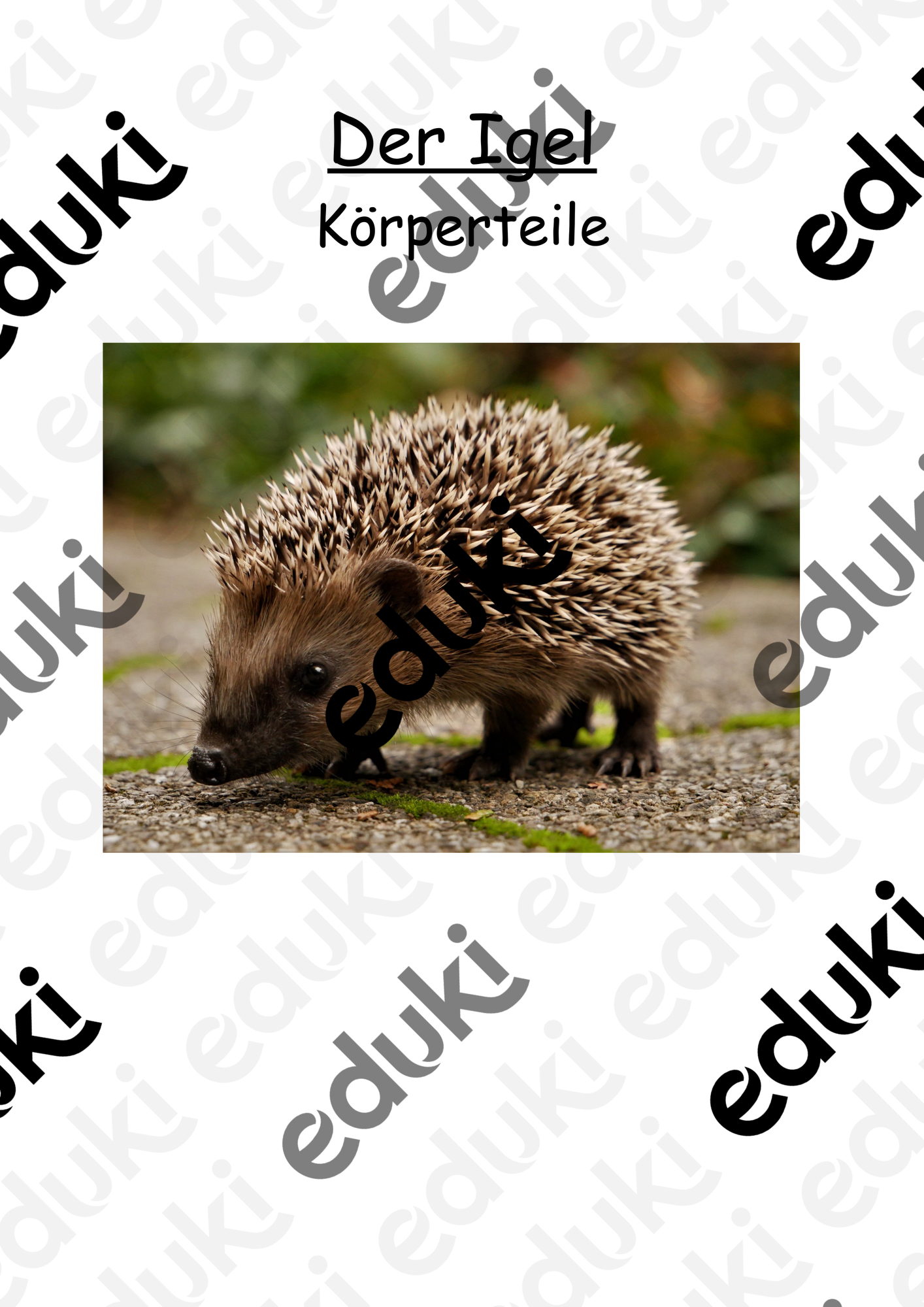 ZoomedPreview