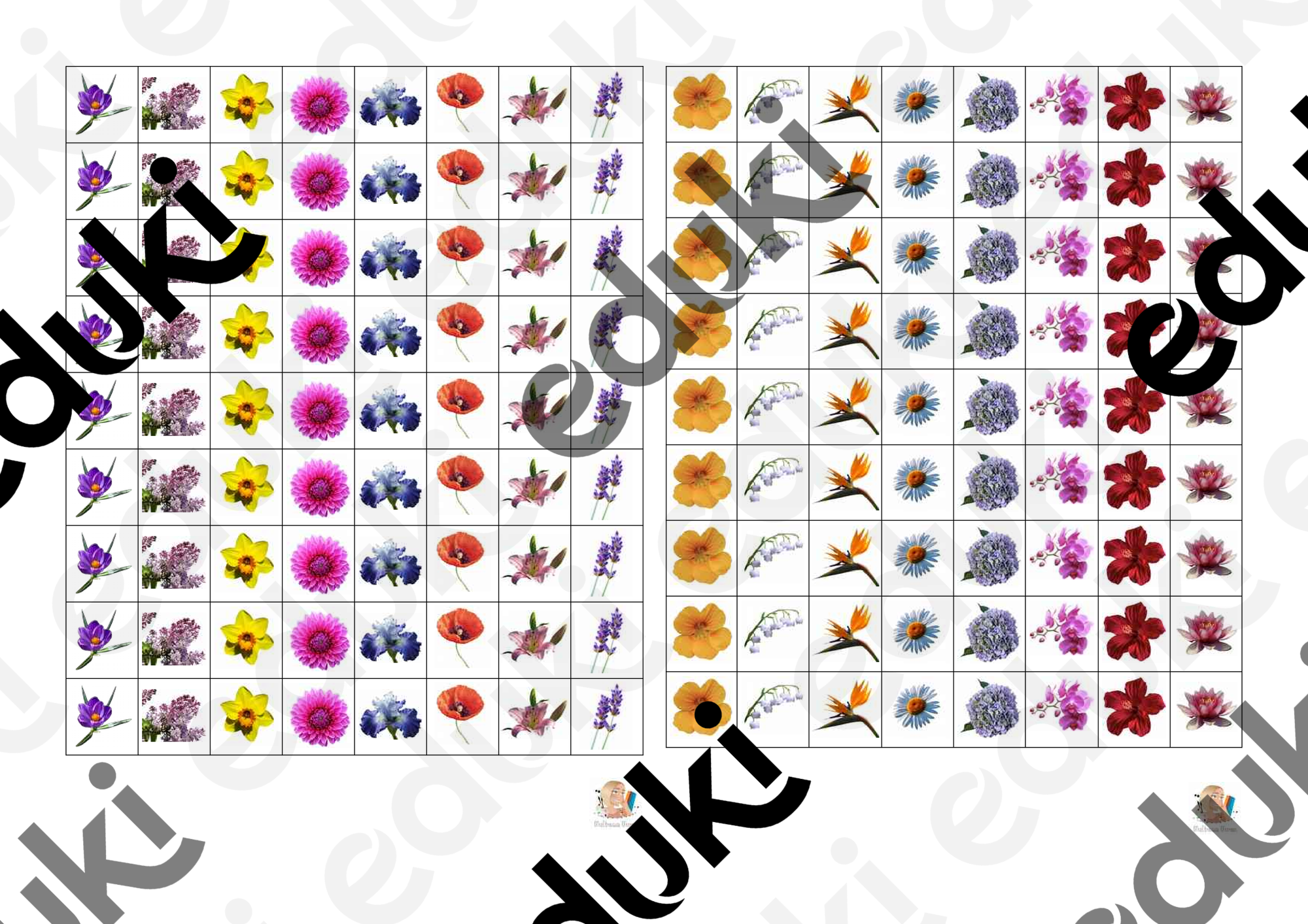 ZoomedPreview