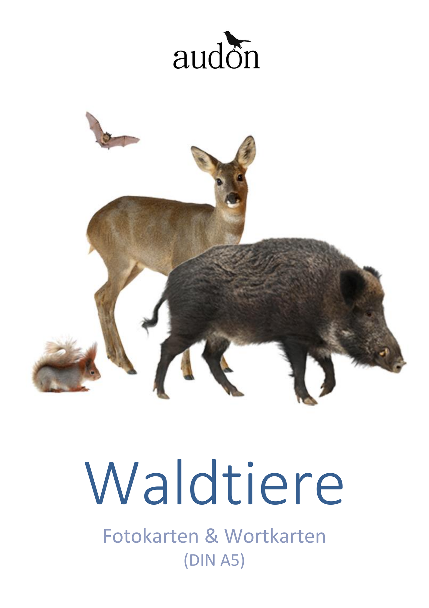 Waldtiere - Tiere im Wald - Bildkarten - Fotokarten & Wortkarten - DIN