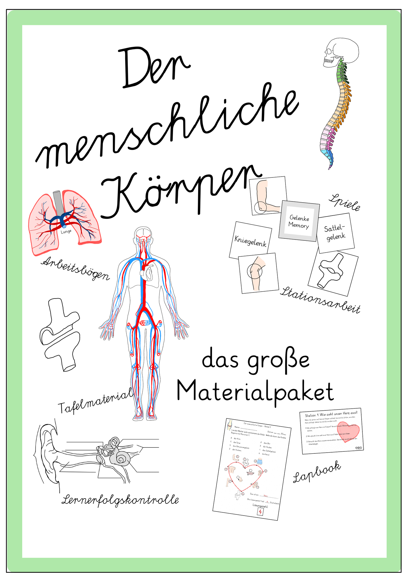 Der menschliche Körper das große Materialpaket – Unterrichtsmaterial im ...