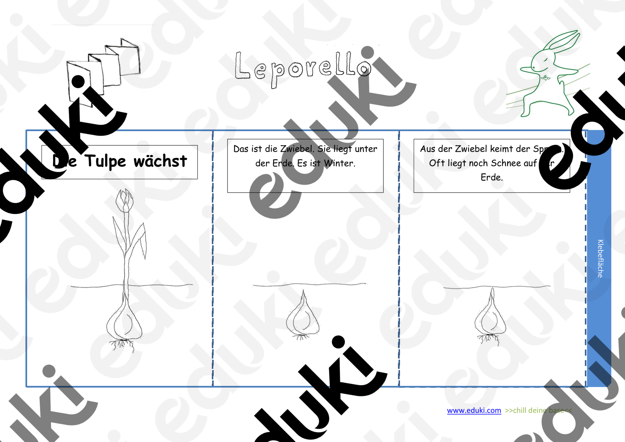 ZoomedPreview