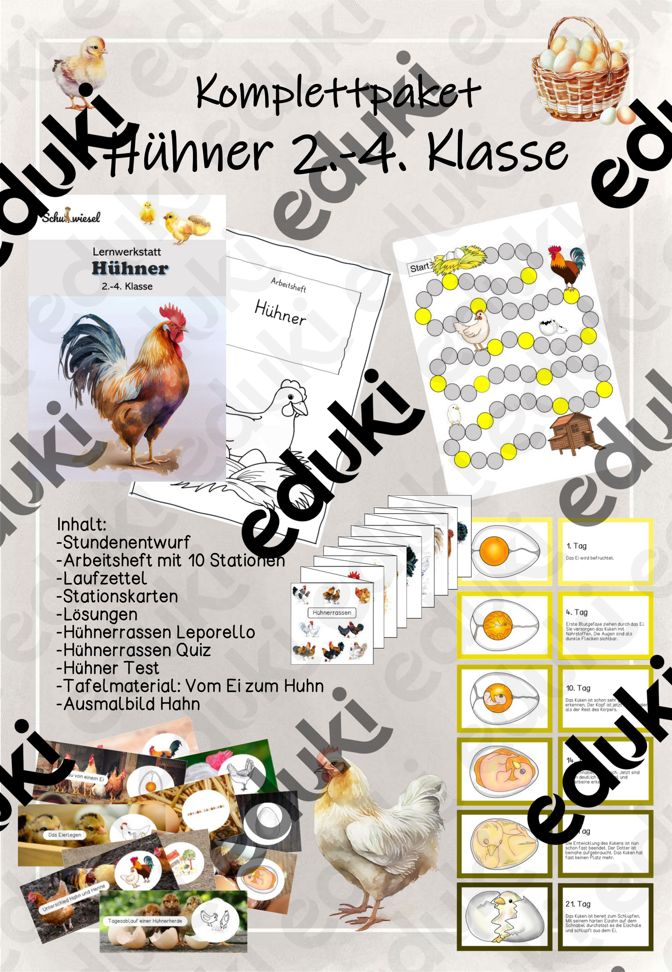 Komplettpaket Hühner 2.-4. Klasse – Unterrichtsmaterial im Fach