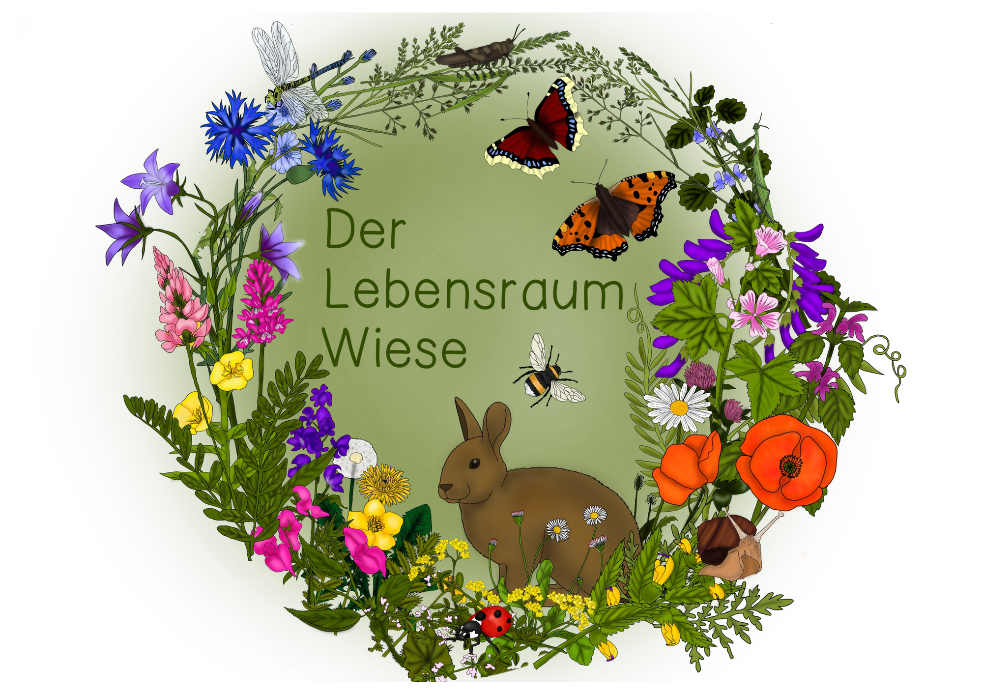 Lebensraum Wiese - Themenplakat – Unterrichtsmaterial im Fach