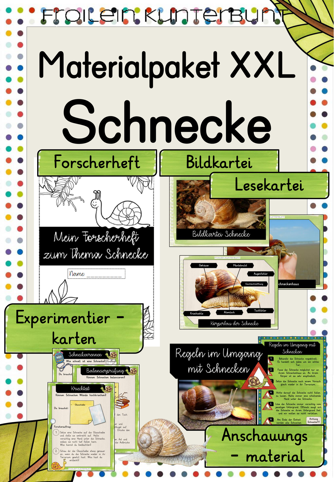 Materialpaket XXL Schnecke – Unterrichtsmaterial im Fach Sachunterricht
