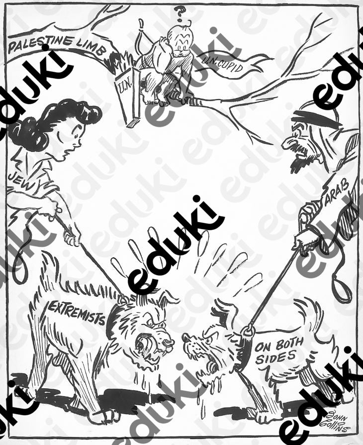 ZoomedPreview