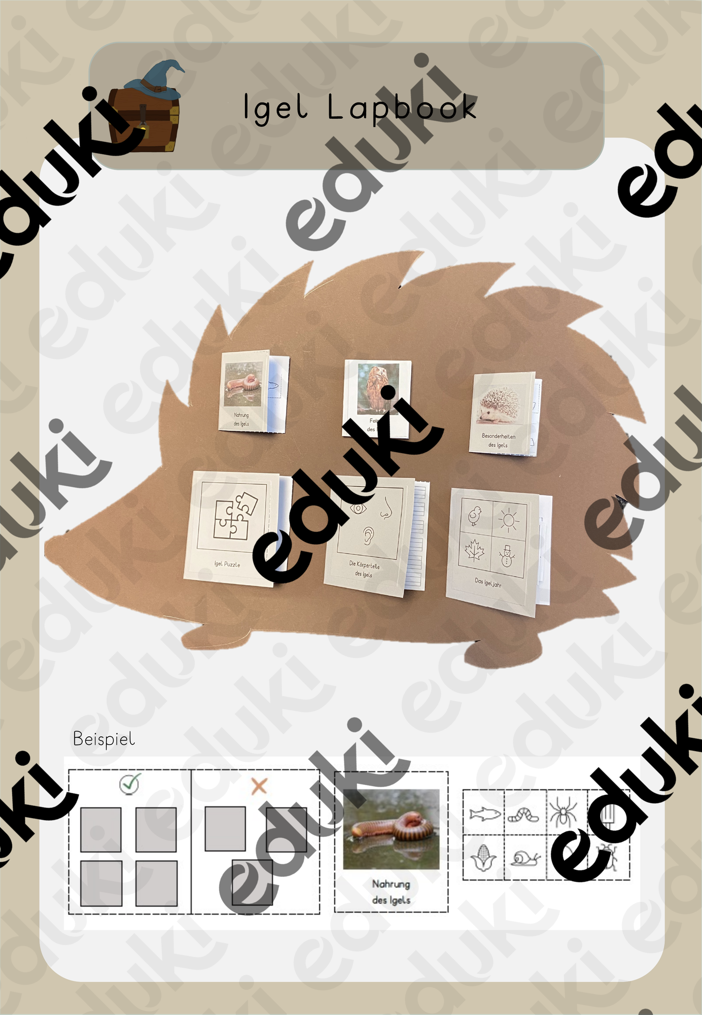 Igel Lapbook Klasse 1 – Unterrichtsmaterial im Fach Sachunterricht
