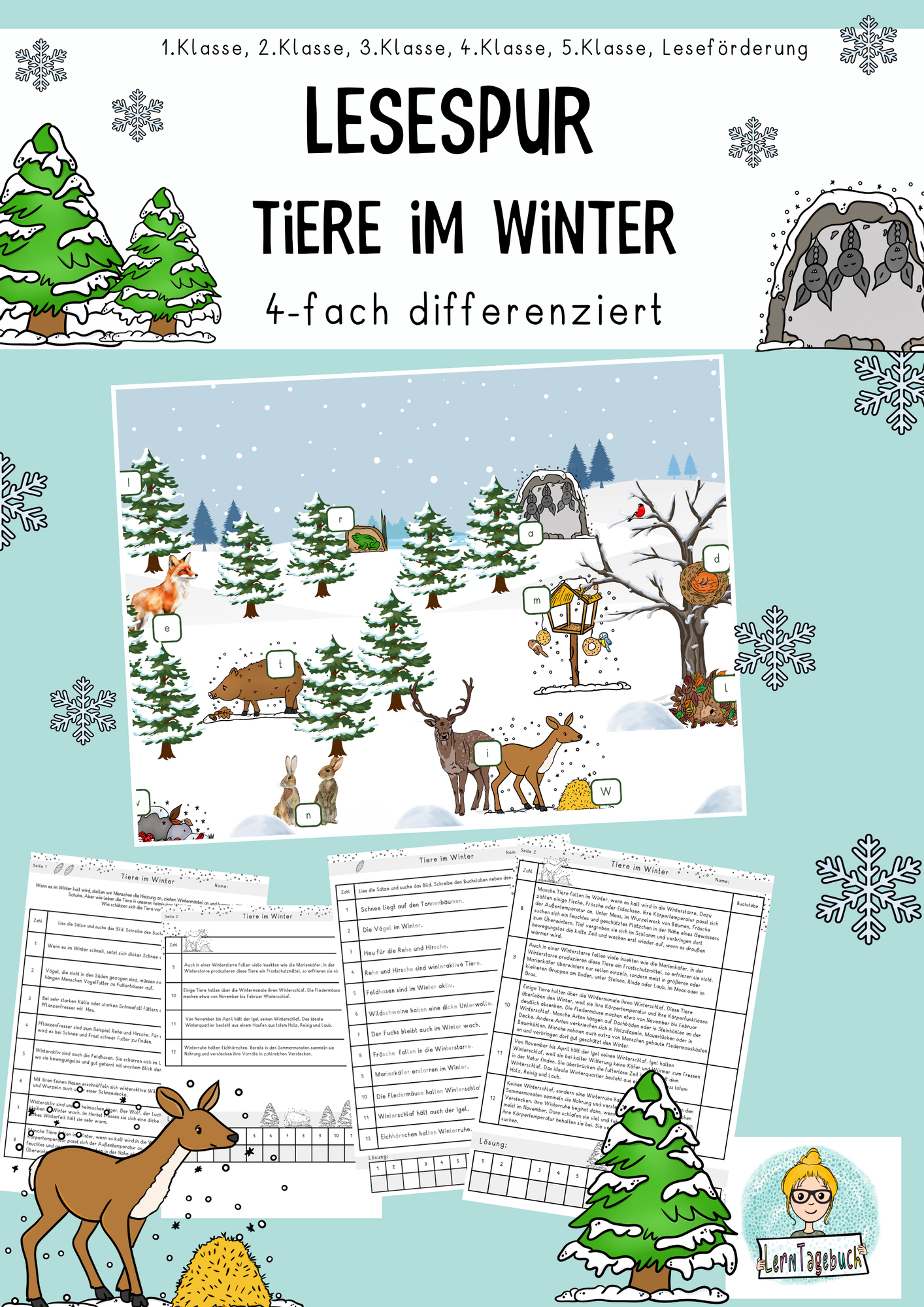 Lesespur Tiere im Winter, differenziert, Lesen, Lesetext. Sachtext