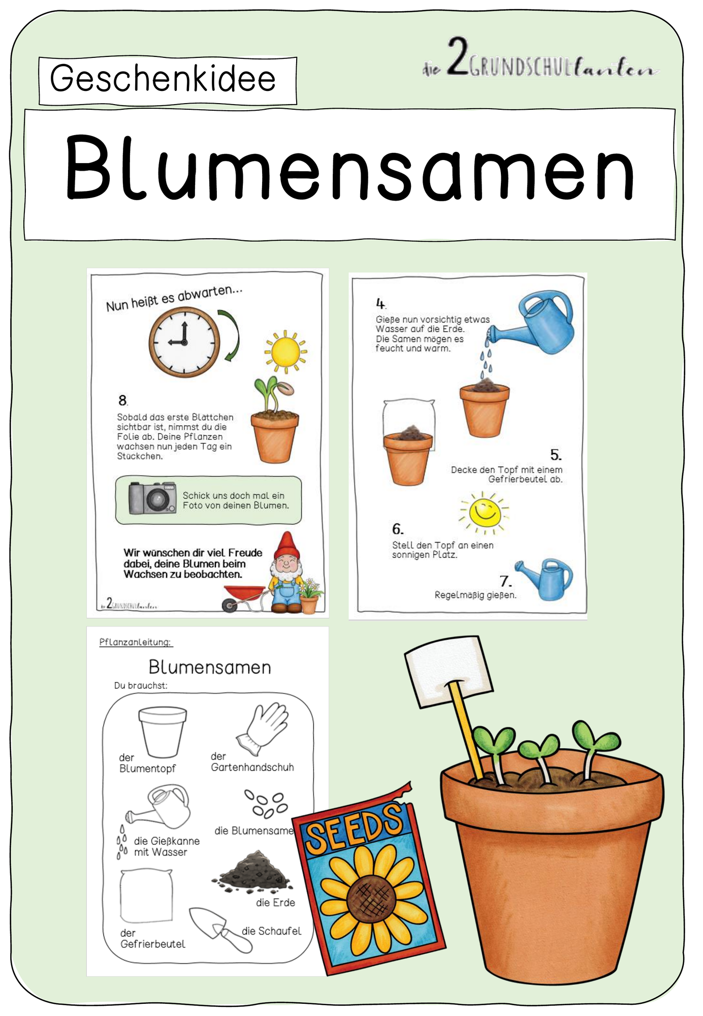 Blumensamen aussäen & pflegen: Der ultimative Guide