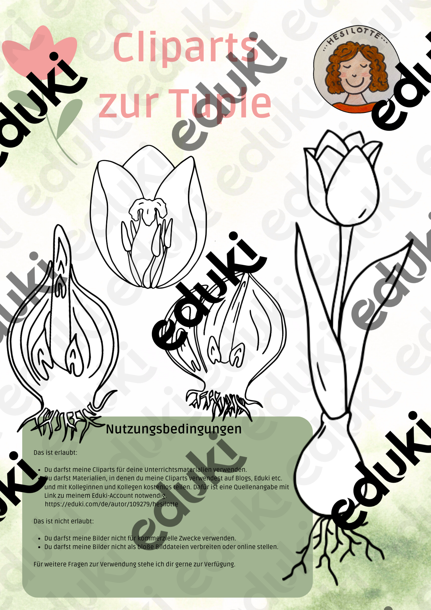 ZoomedPreview
