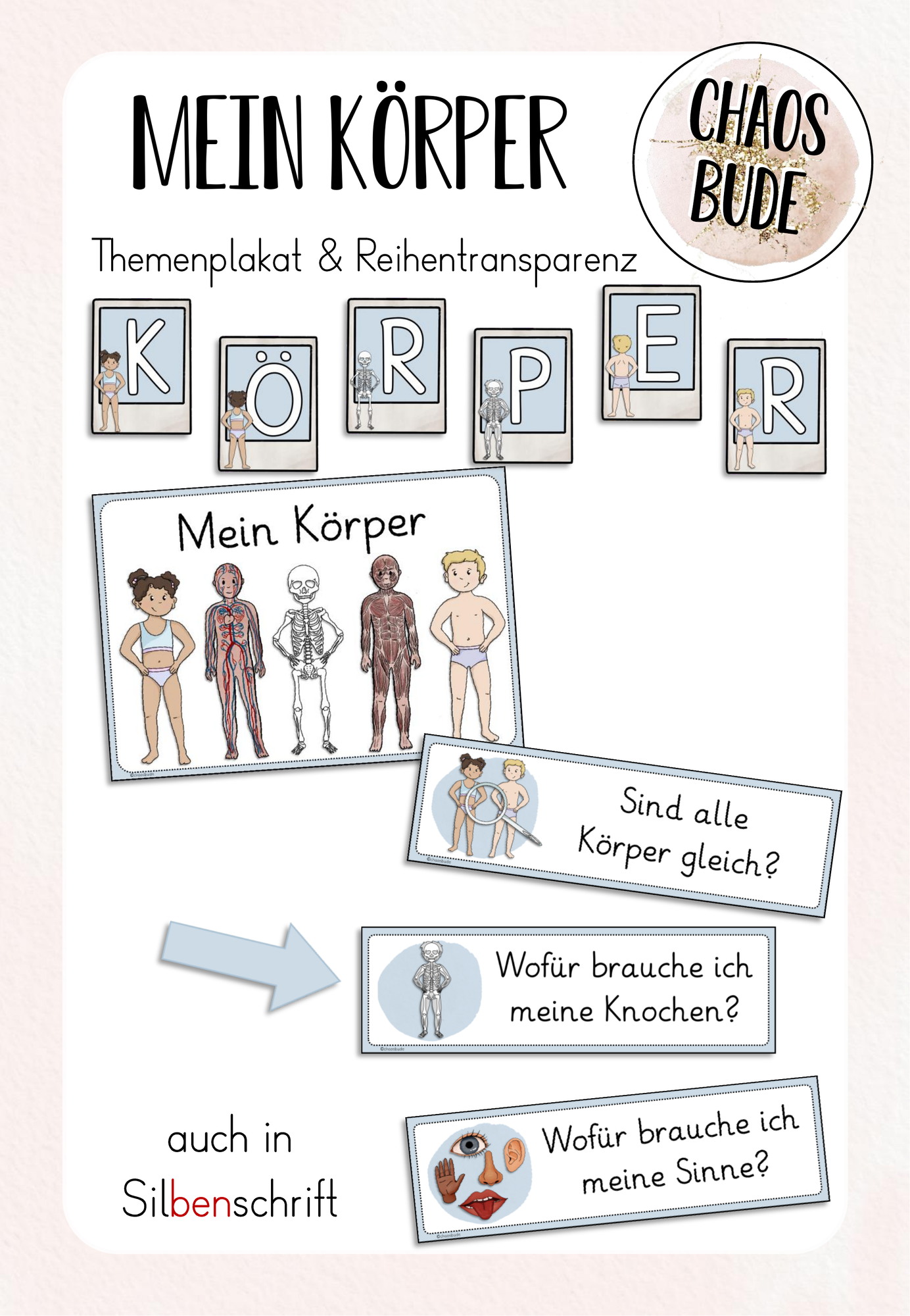 Mein Körper - Themenplakat und Reihentransparenz – Unterrichtsmaterial ...