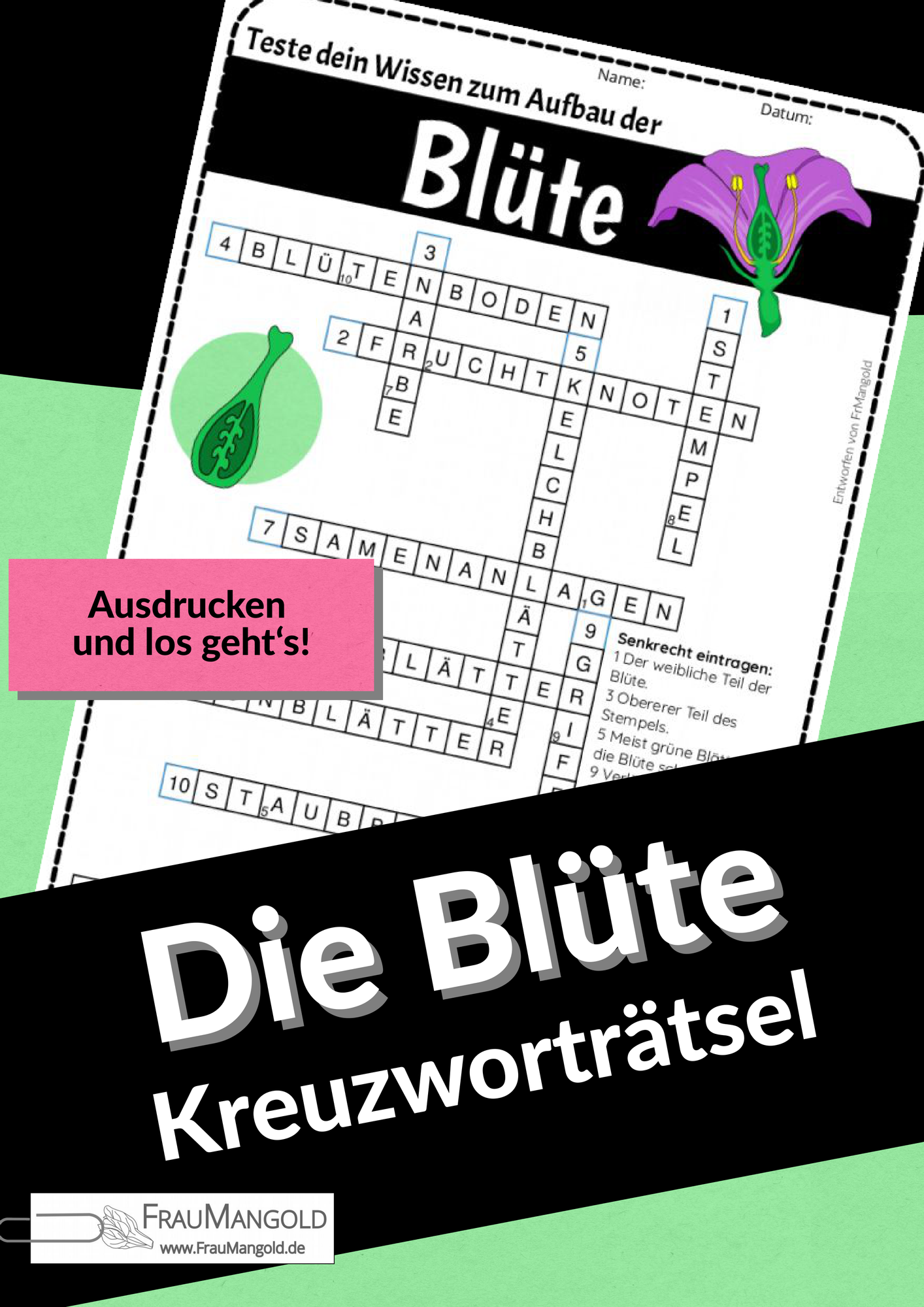 compo bio obst- und gemüsedünger COMPO BIO Obst- und Gemüsedünger 1l – HappySeed