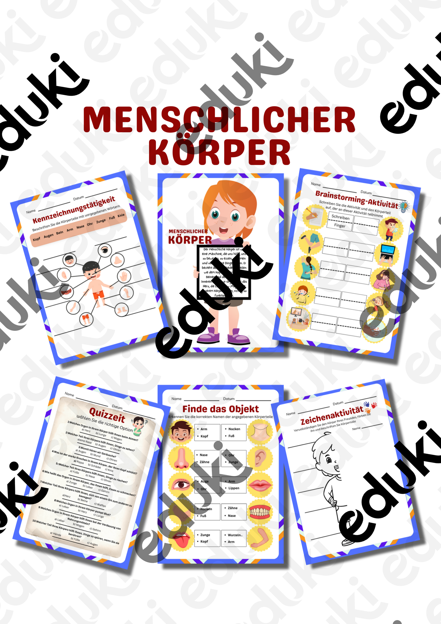 Der menschliche Körper und seine Funktionen – Unterrichtsmaterial im ...