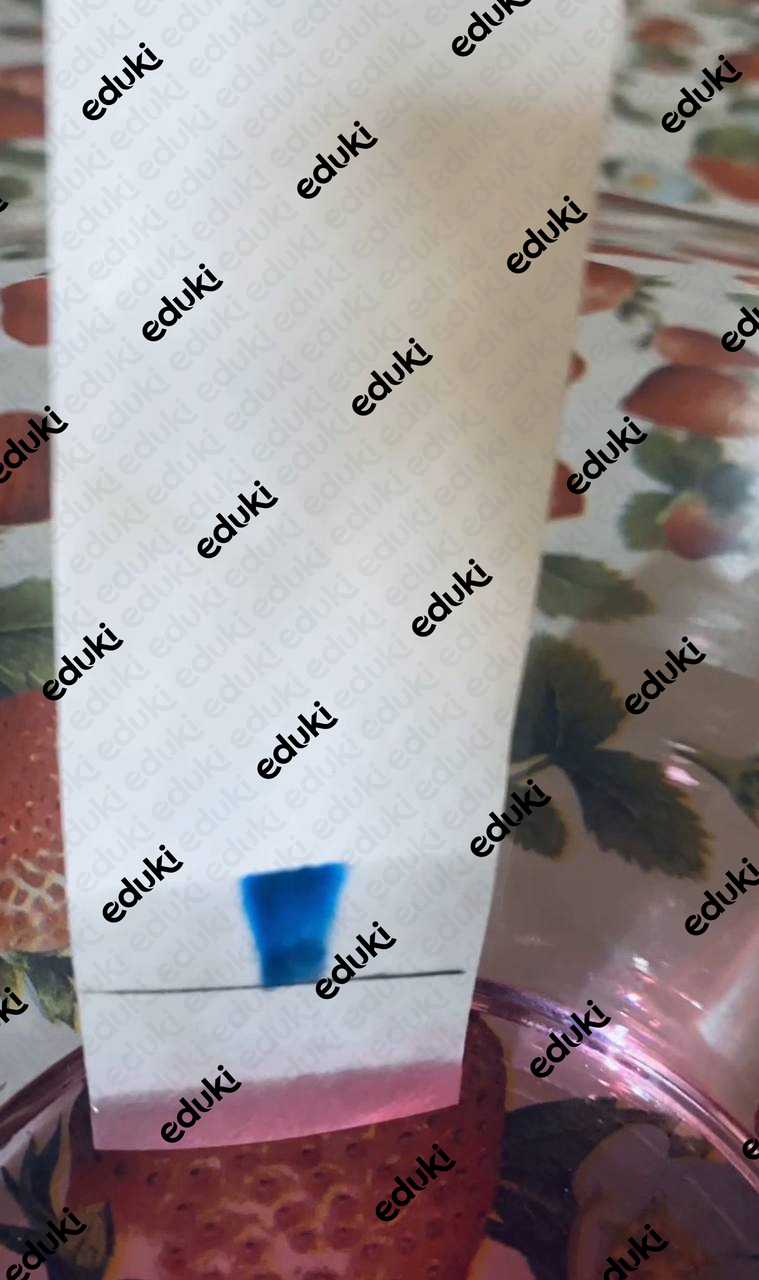 Carta Da Filtro Per Cromatografia E Laboratorio | Assorbente | Per Esperimenti E Pulizia | Grado Scientifico - Foto 9