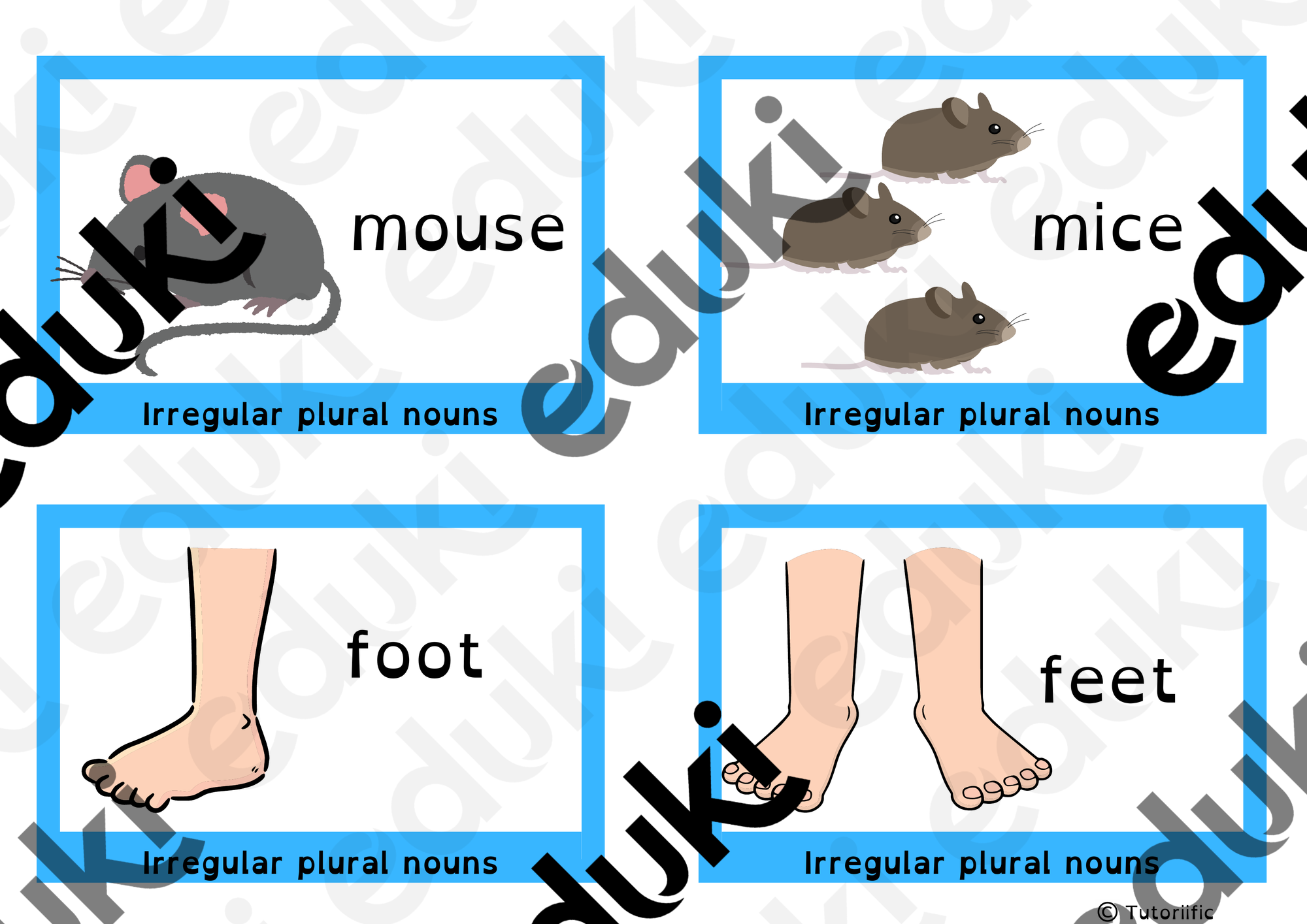 Irregular Plural Nouns 不规则复数名词的闪卡 – 主题英语 的教材