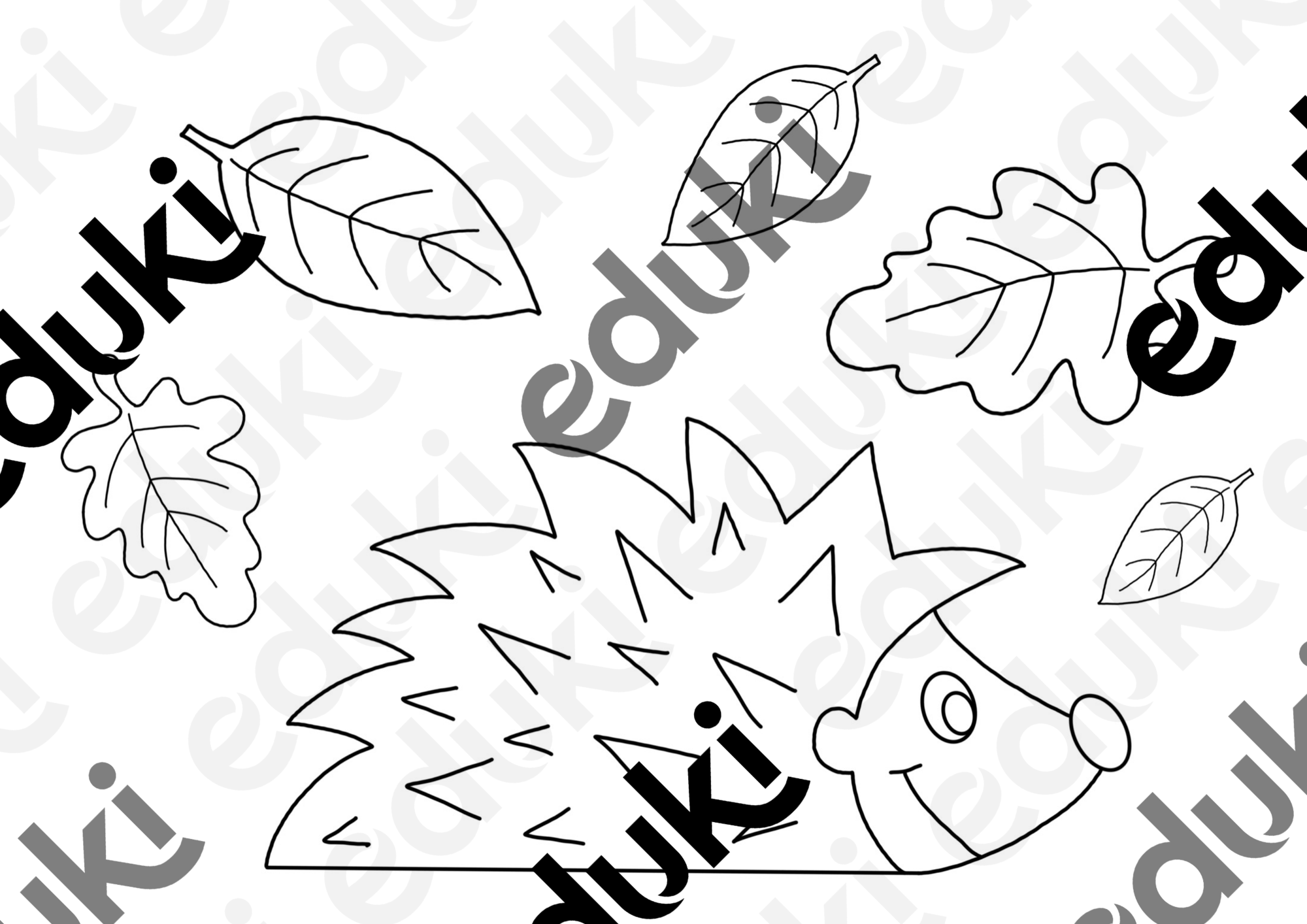 ZoomedPreview