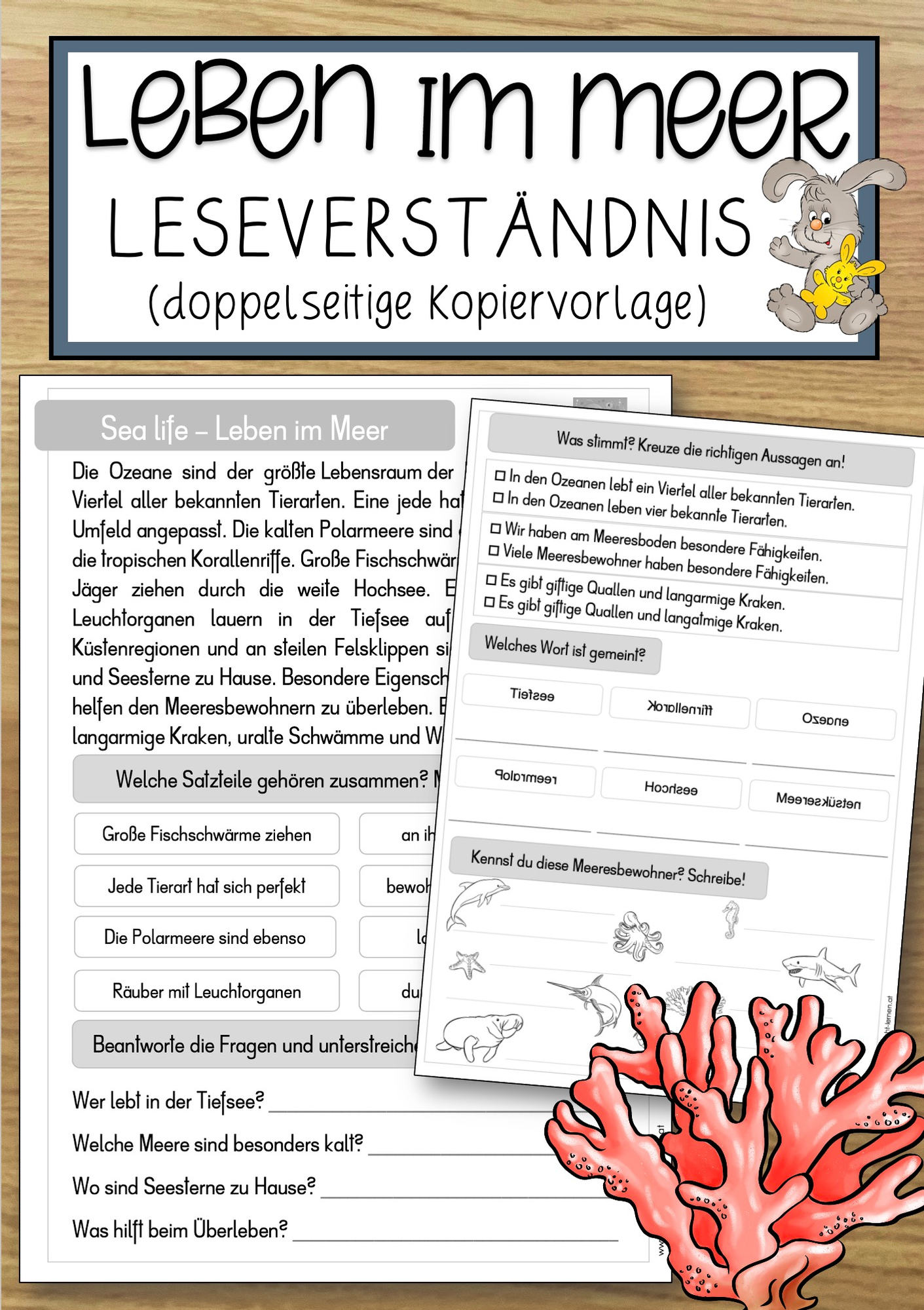 Leben im Meer - Leseverständnis (doppelseitige Kopiervorlage