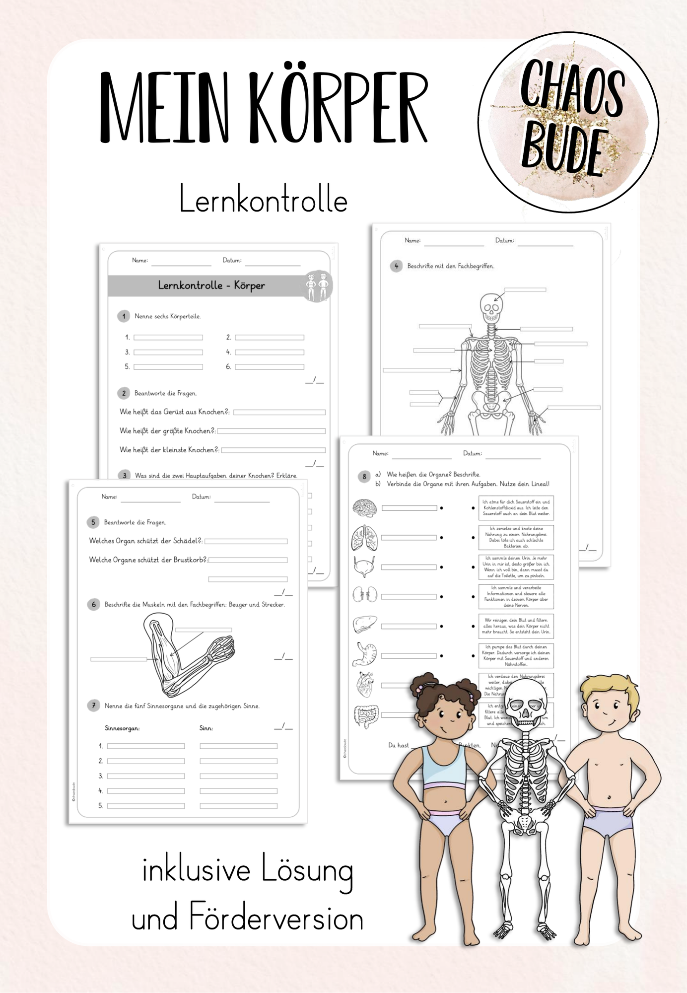Mein Körper - Lernzielkontrolle + Lösung – Unterrichtsmaterial im Fach ...