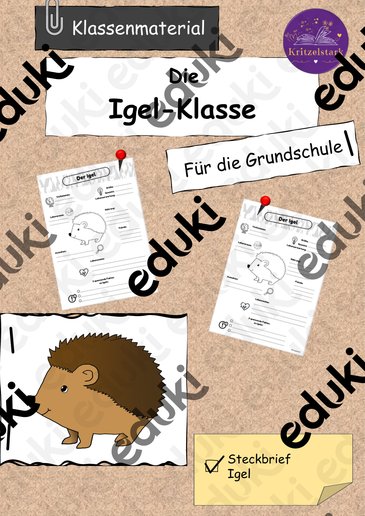 Steckbrief Igel & Igelklasse Ideen – Unterrichtsmaterial in den Fächern ...