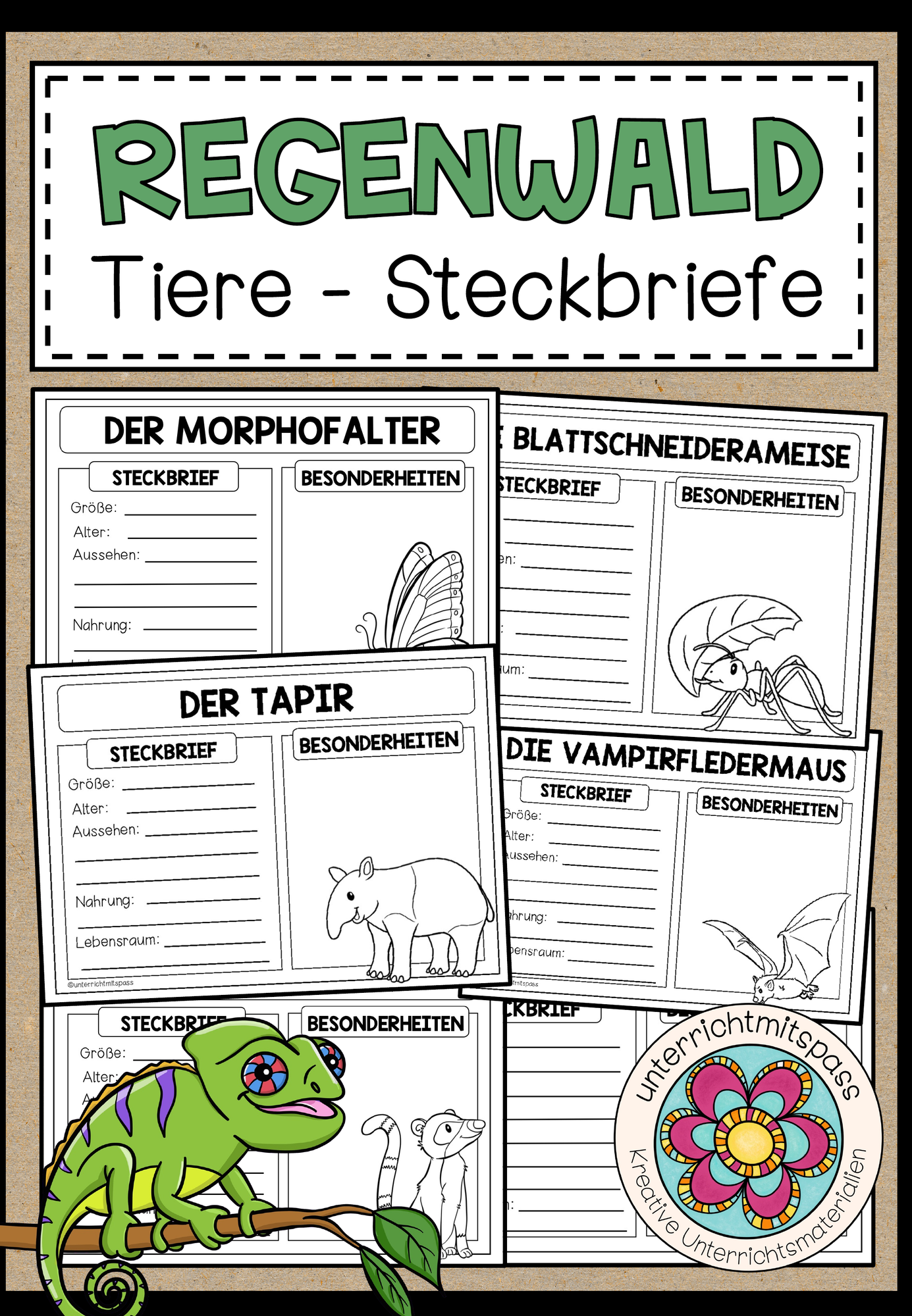 Tiere im Regenwald - Steckbriefe  Unterrichtsmaterial im Fach Biologie