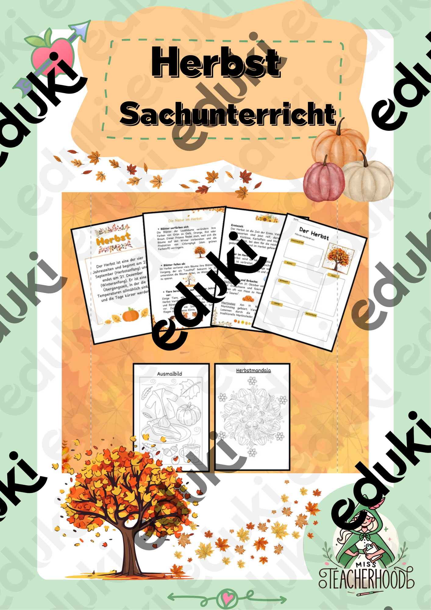 Herbst 🍂 Sachunterricht – Unterrichtsmaterial im Fach Sachunterricht