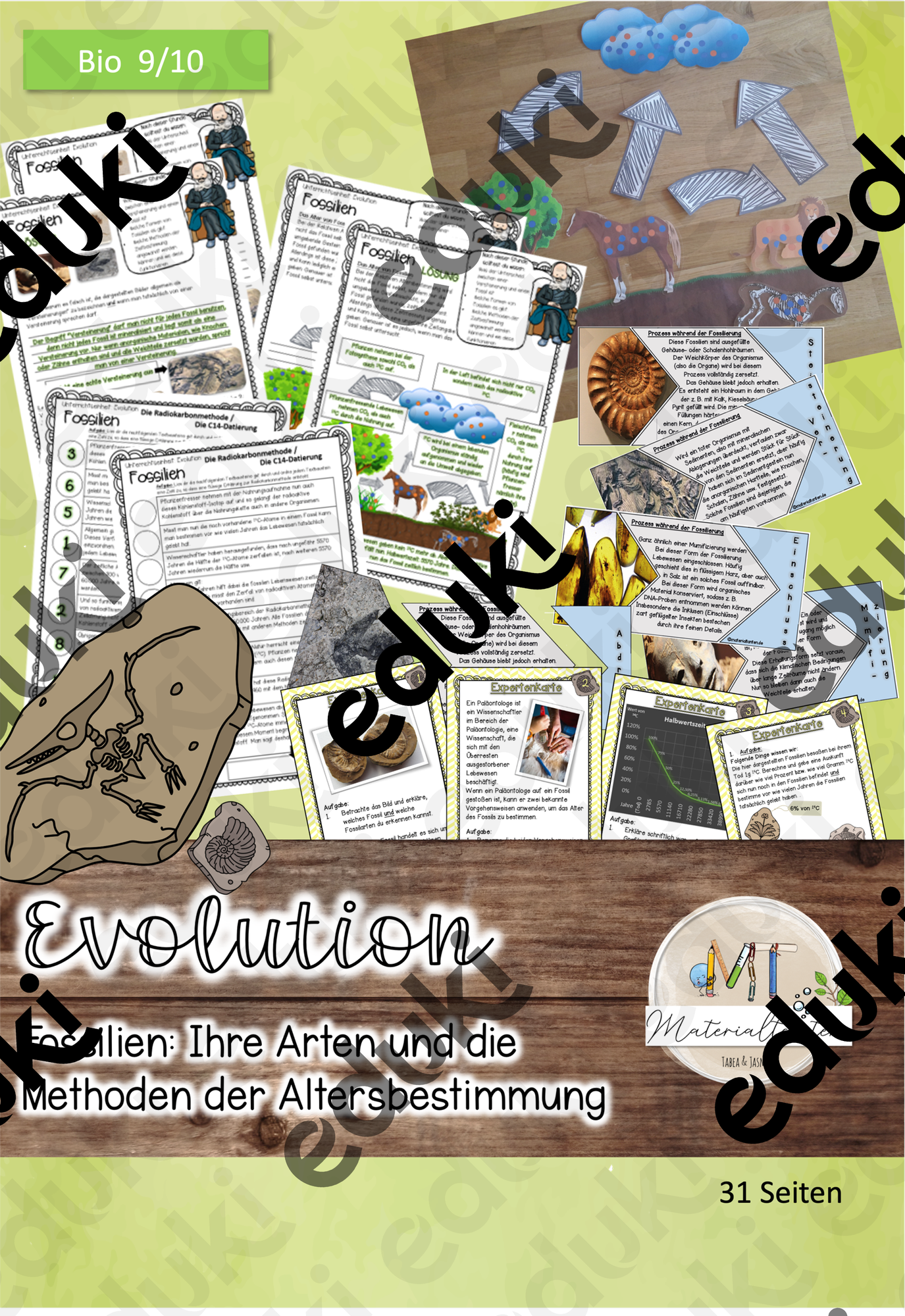 Evolution Stunde 1: Einführung in die Evolution / Fossilien ...