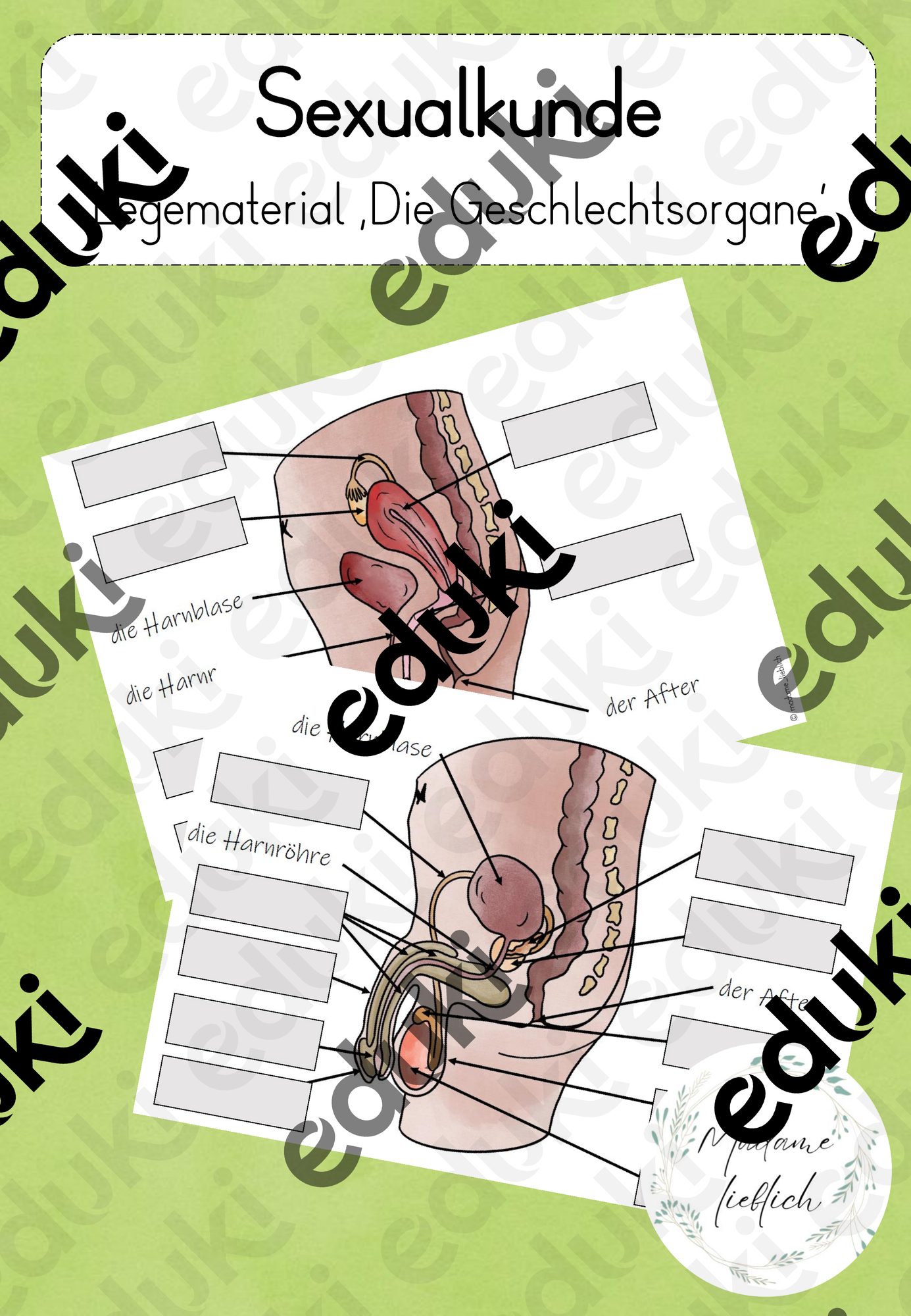 Sexualkunde Legematerial Die Geschlechtsorgane sexualkunde-legematerial-die-geschlechtsorgane