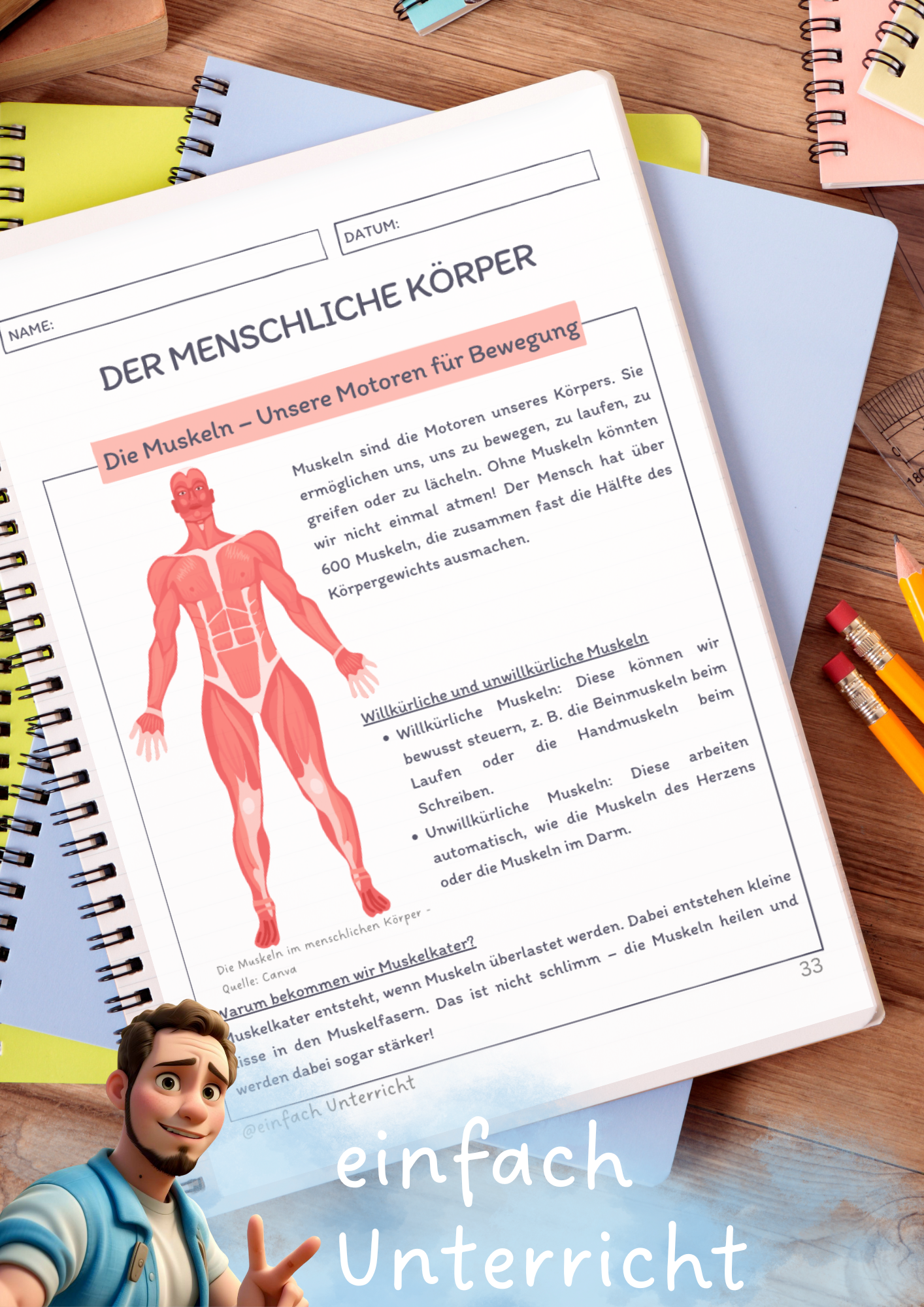 Der Menschliche K rper Die Muskeln Unterrichtsmaterial In Den der-menschliche-k-rper-die-muskeln-unterrichtsmaterial-in-den