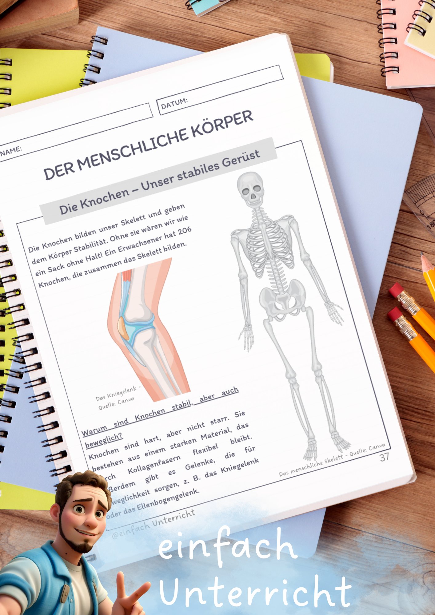 Der menschliche Körper - Die Knochen – Unterrichtsmaterial in den ...