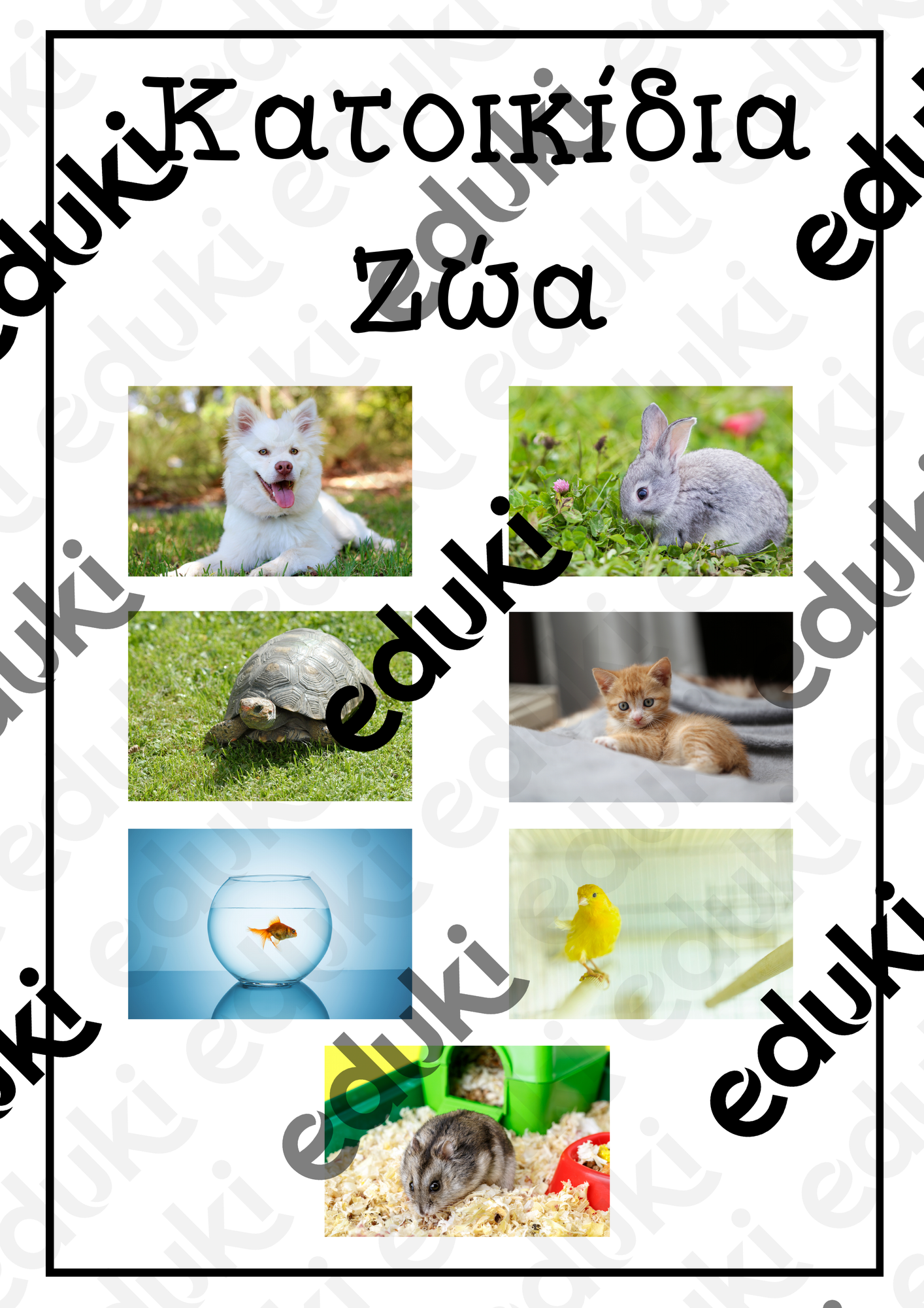 ZoomedPreview