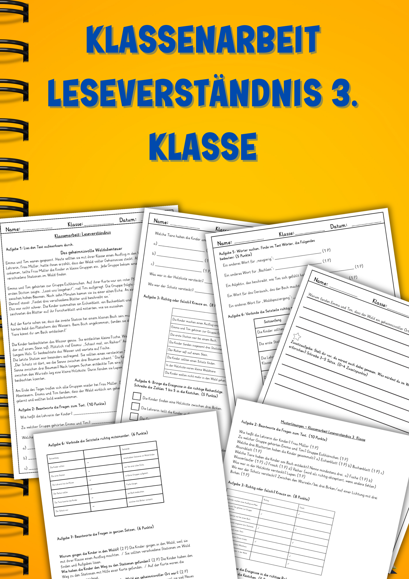 Klassenarbeit Leseverständnis 3. Klasse: Das geheimnisvolle