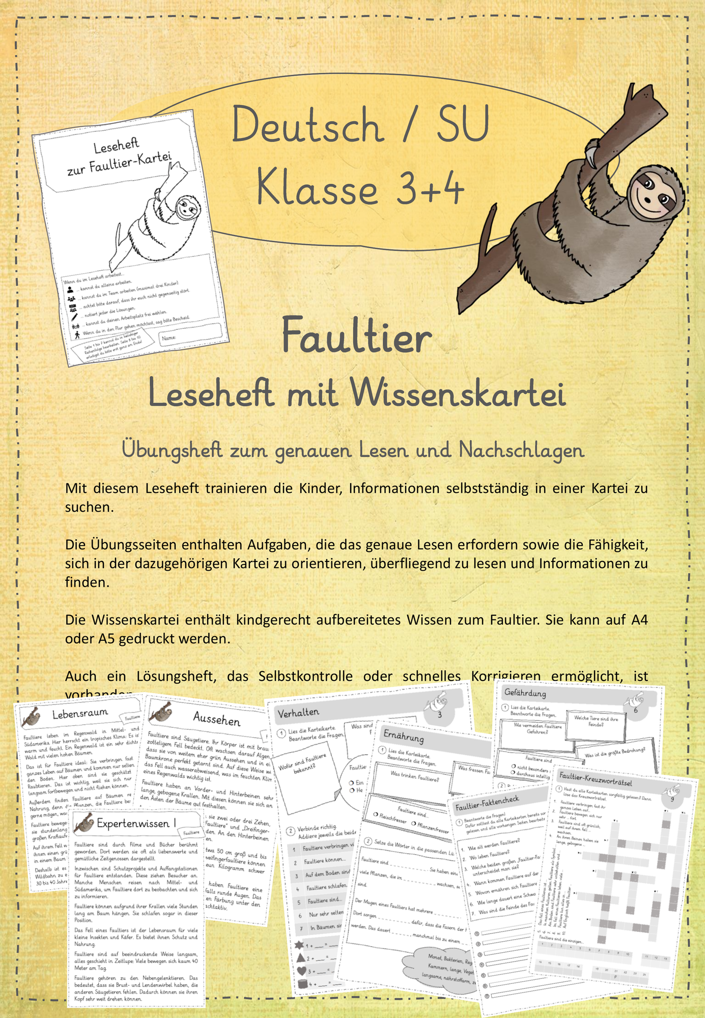 Leseheft mit Wissenskartei "Faultier" – Unterrichtsmaterial in den ...