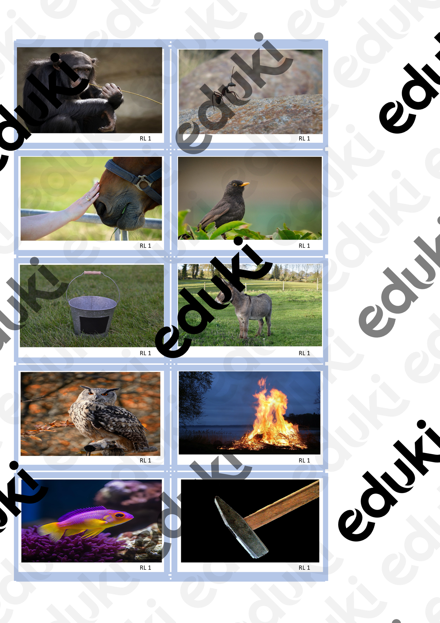 ZoomedPreview
