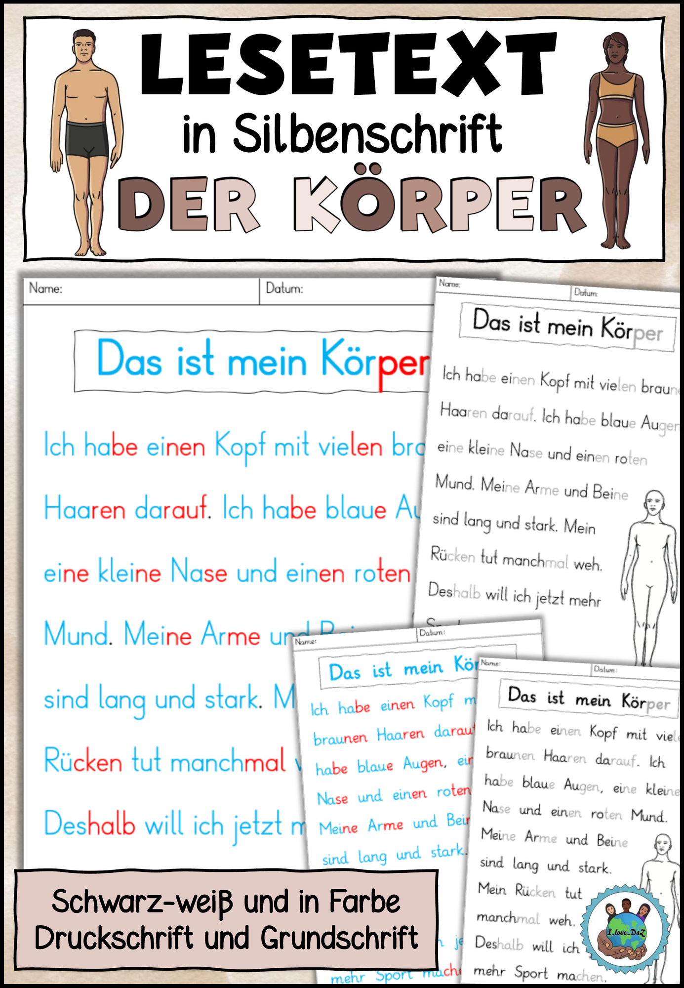Lesetext "Mein Körper" Silbenschrift Leseanfänger DaZ / DaF / Deutsch