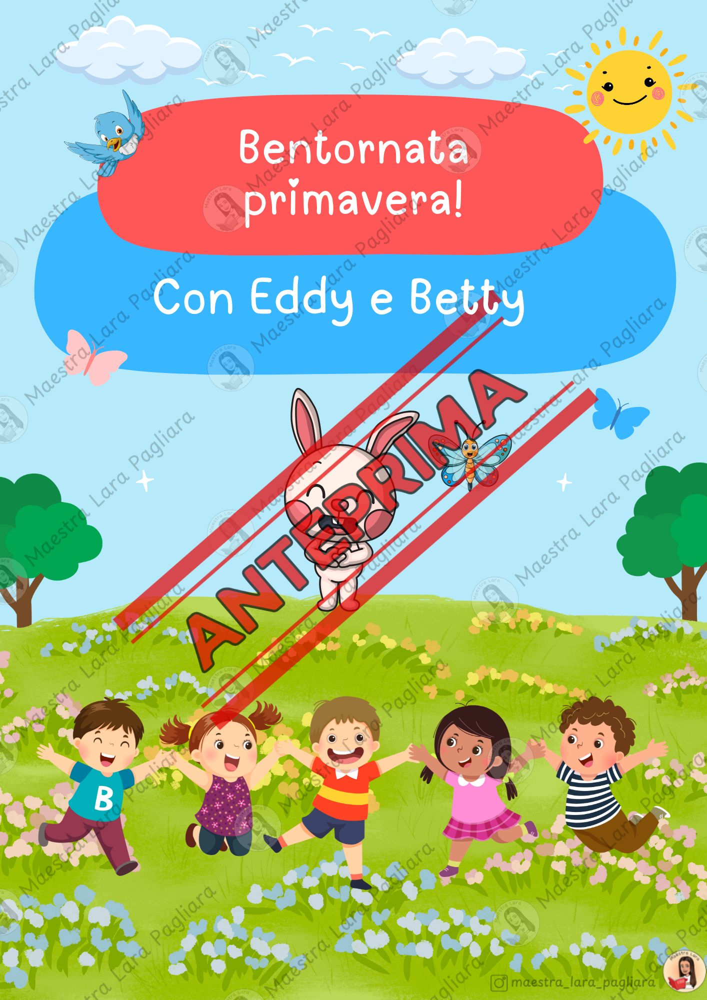 ZoomedPreview