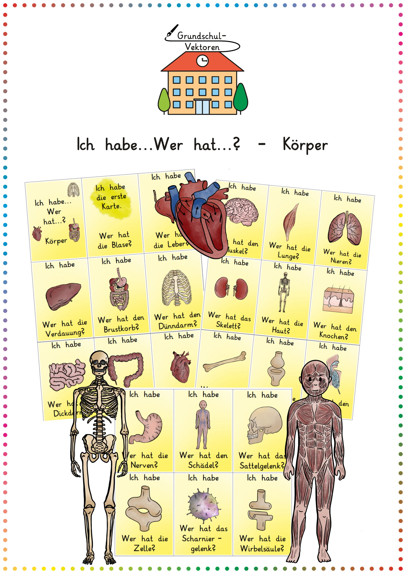 Menschlicher Körper & Organe: Lesespiel