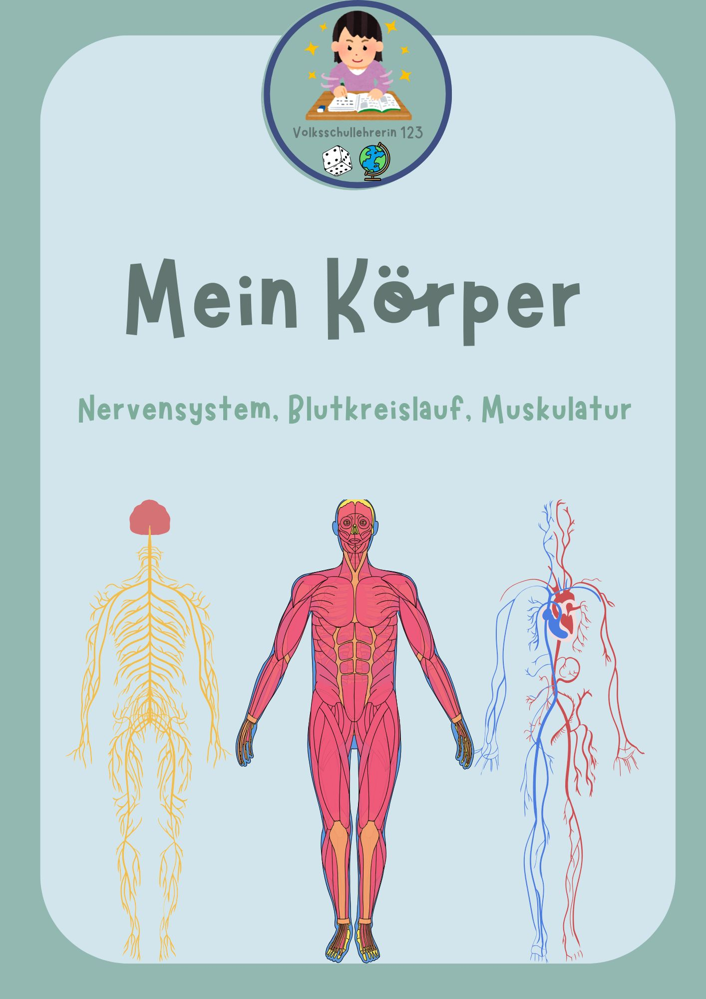 Mein Körper - Nerven, Muskeln, Blutkreislauf – Unterrichtsmaterial im ...