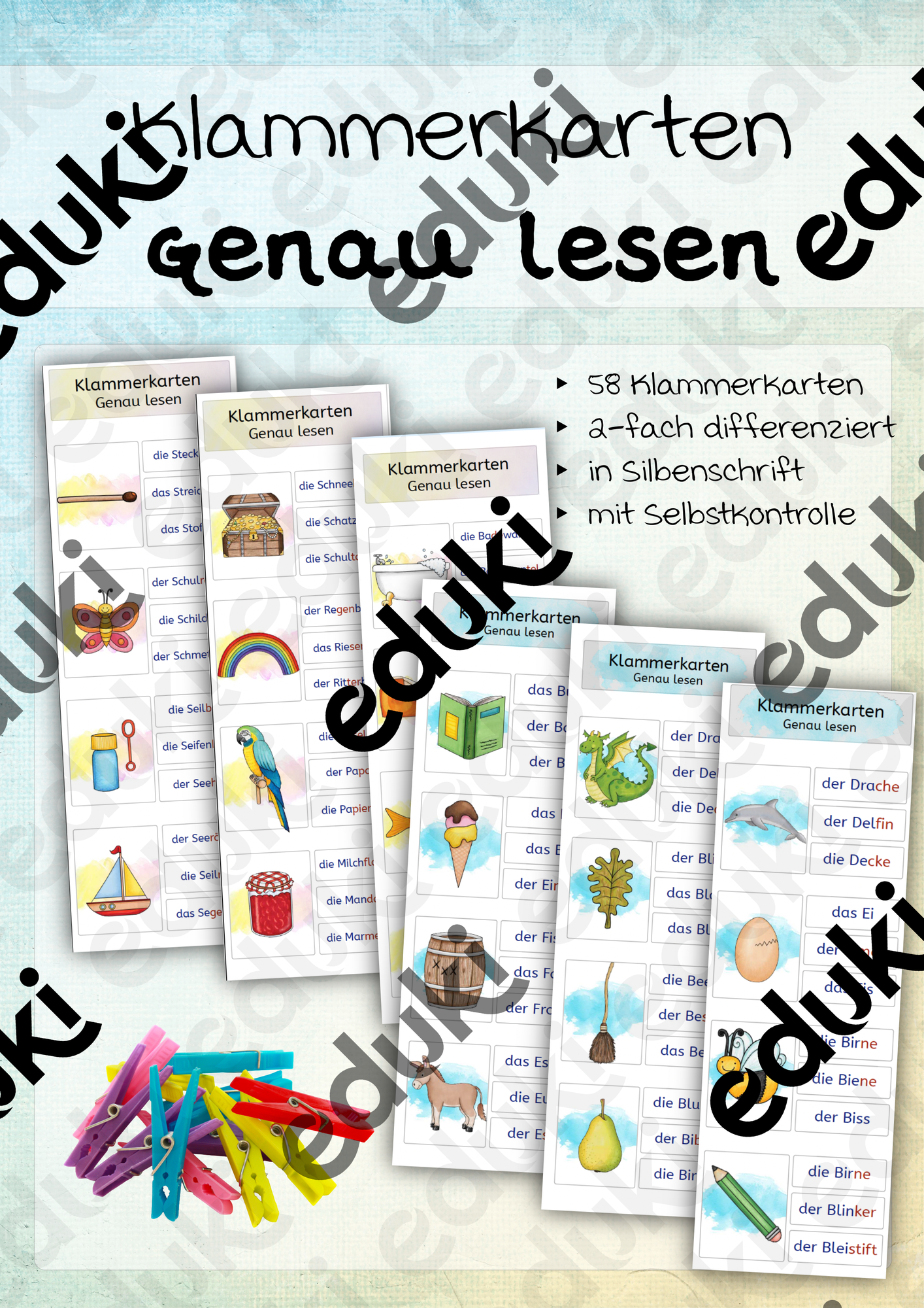 Klammerkarten - Genau lesen - Silbenschrift – Unterrichtsmaterial im