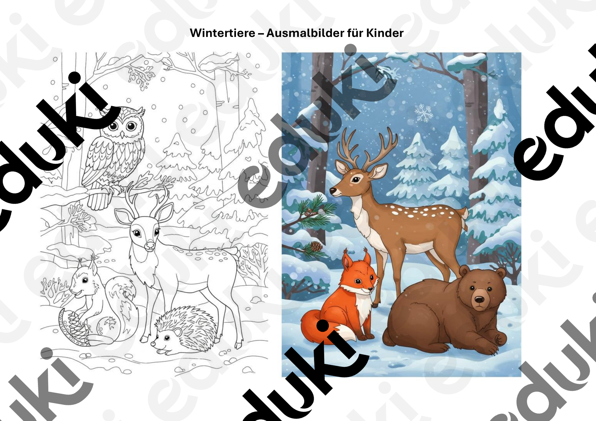 Wintertiere – Ausmalbilder für Kinder – Unterrichtsmaterial in den