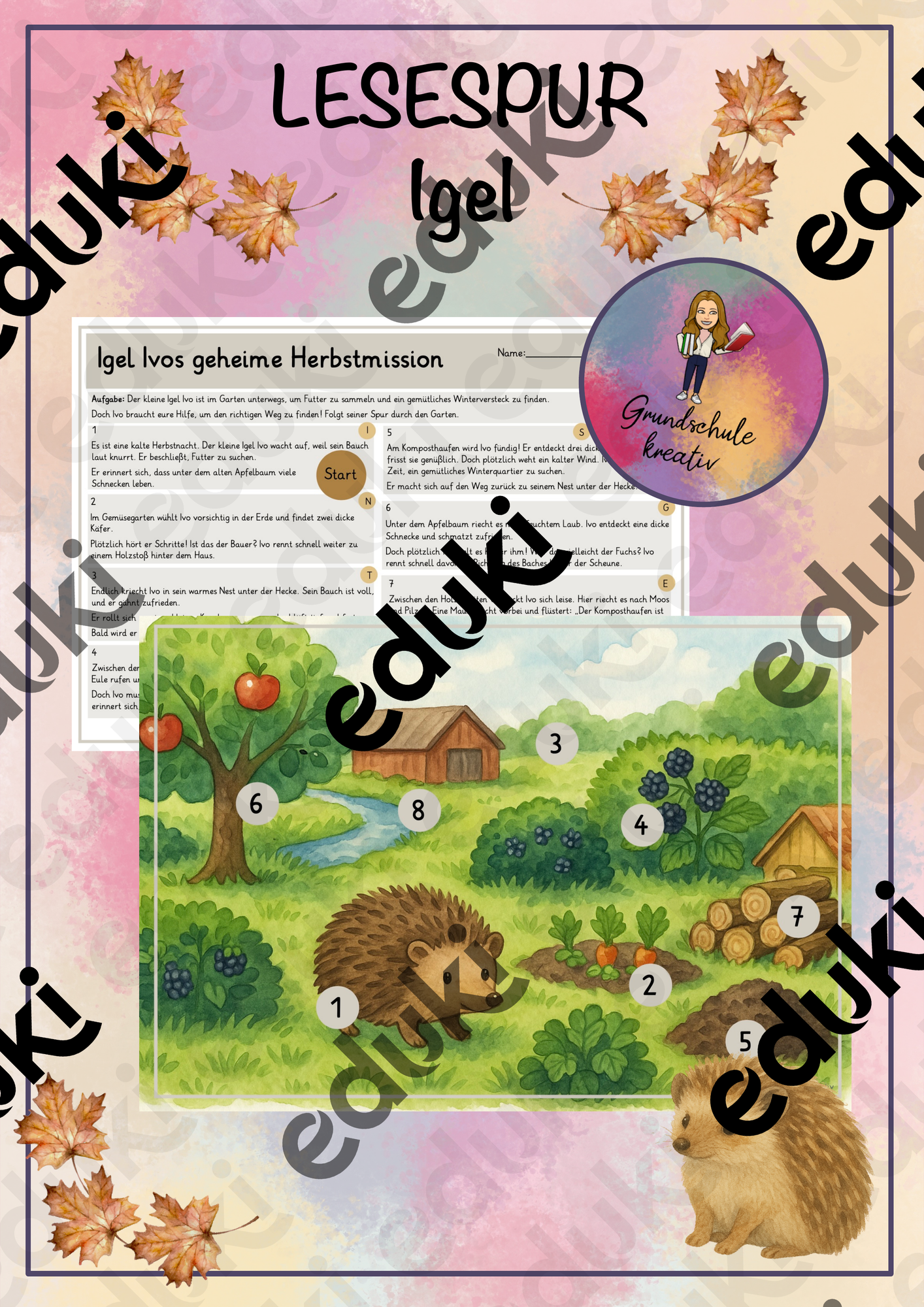 Lesespur-Igel-Herbst – Unterrichtsmaterial in den Fächern