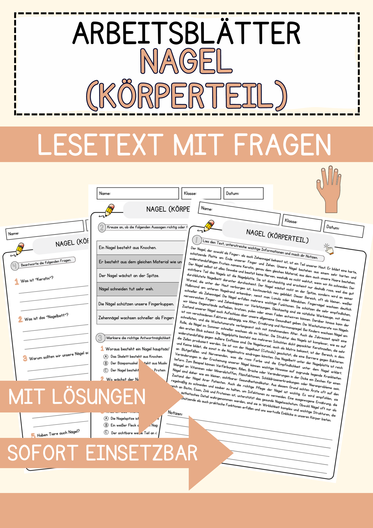 Nagel (Körperteil) Arbeitsblätter mit Fragen + Lösungen Leseverstehen ...