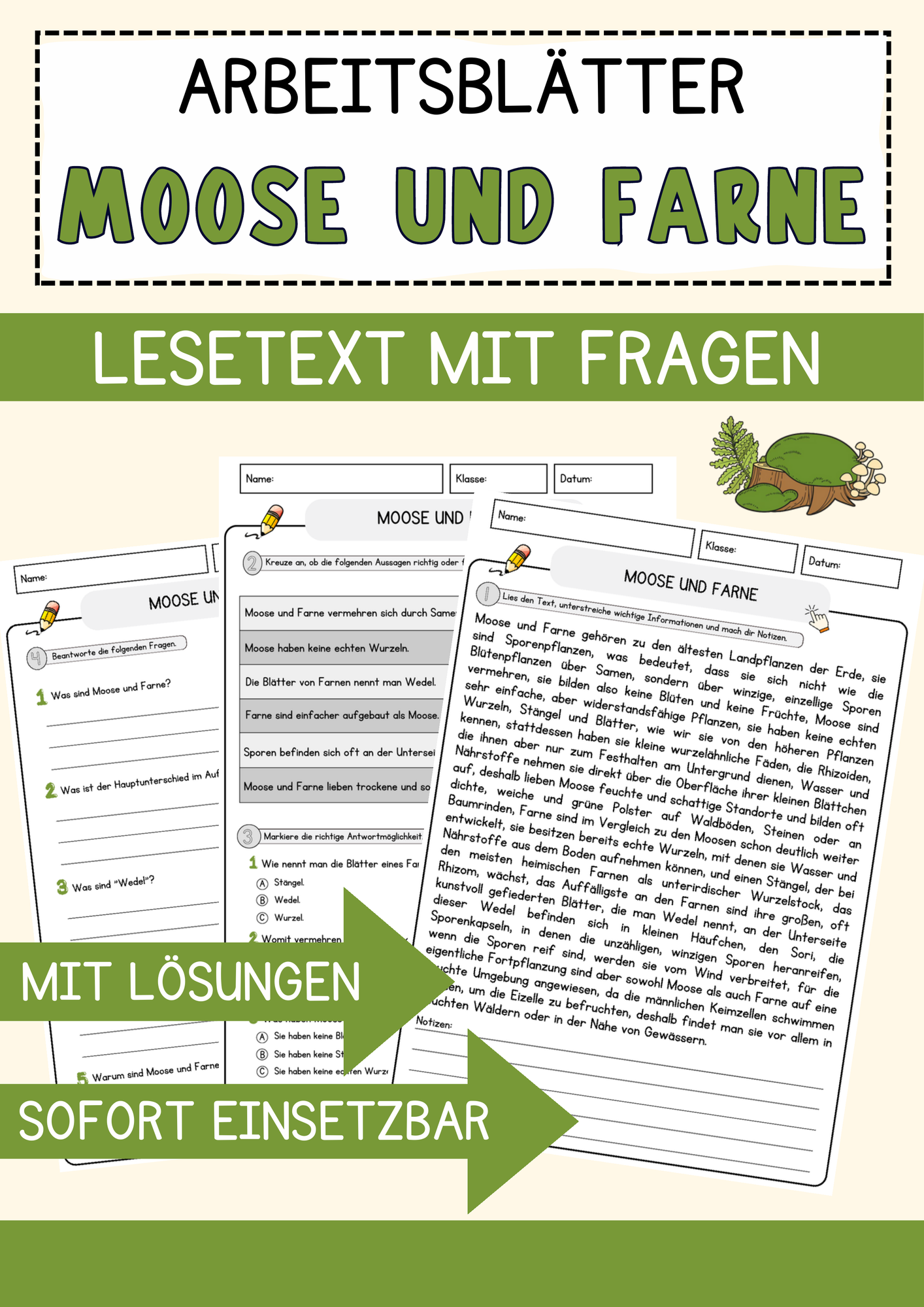 Moose und Farne Biologie Pflanzen Lesetext mit Richtig Falsch Multiple  Choice und Offenen Fragen  Unterrichtsmaterial in den Fchern Biologie &  Sachunterricht & Naturwissenschaften