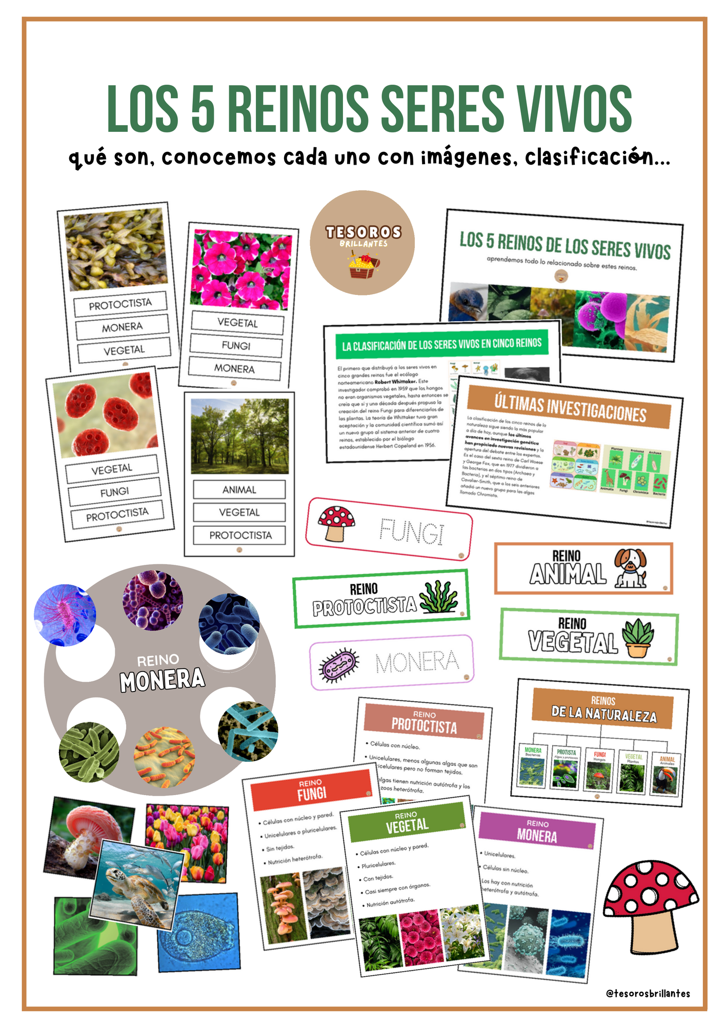 Los 5 reinos de los seres vivos - Tesoros Brillantes - material de la  siguiente asignatura Ciencias naturales