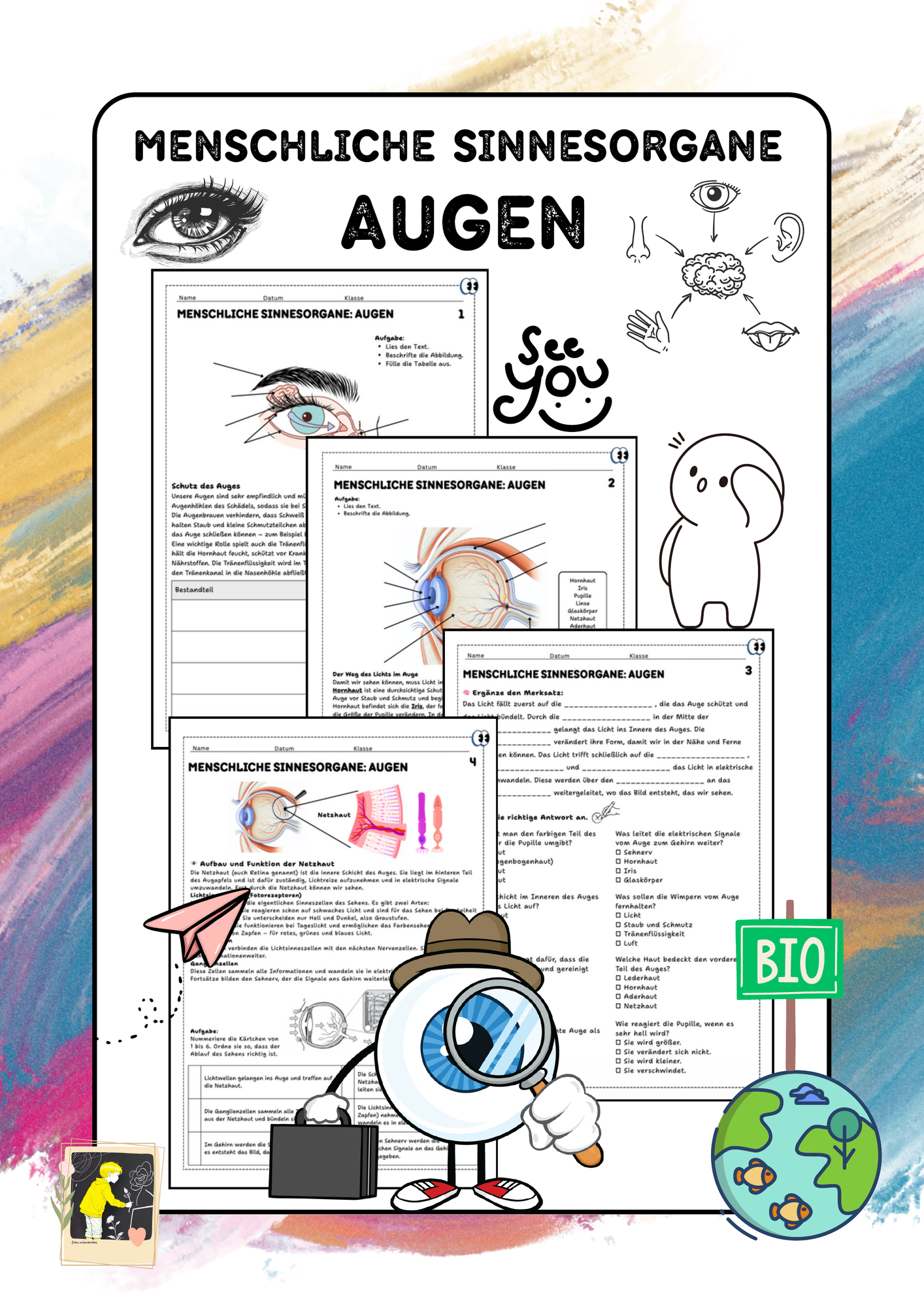 Menschliche Sinnesorgane Augen Unterrichtsmaterial Im Fach Biologie menschliche-sinnesorgane-augen-unterrichtsmaterial-im-fach-biologie