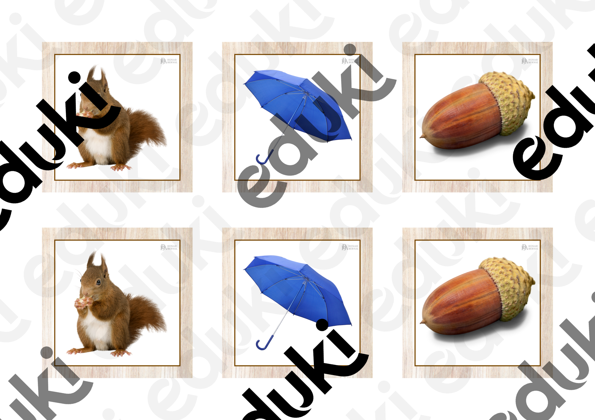 ZoomedPreview