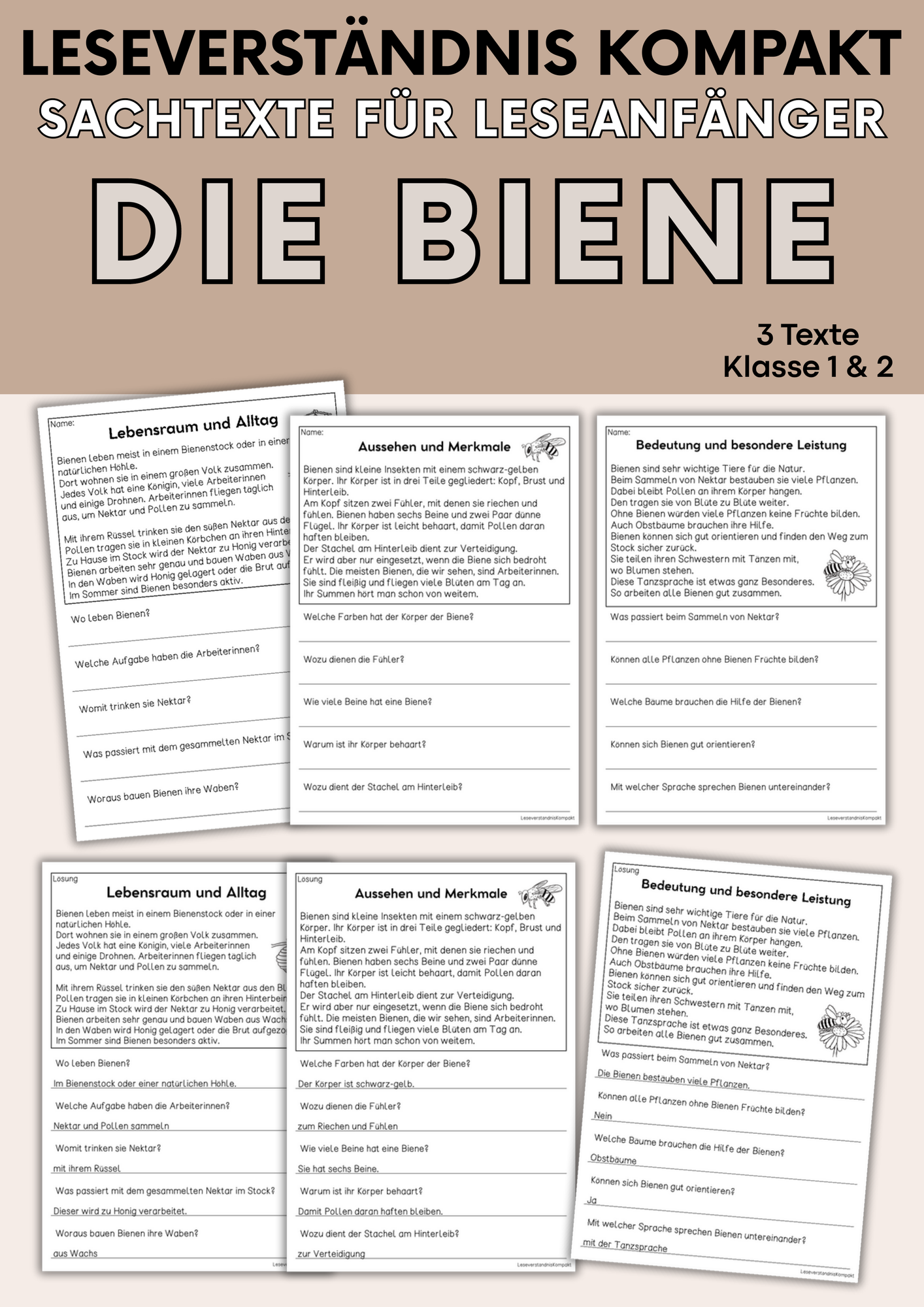 Die Biene - Sachtexte für Erstleser | Leseverständnis Klasse 1 & 2
