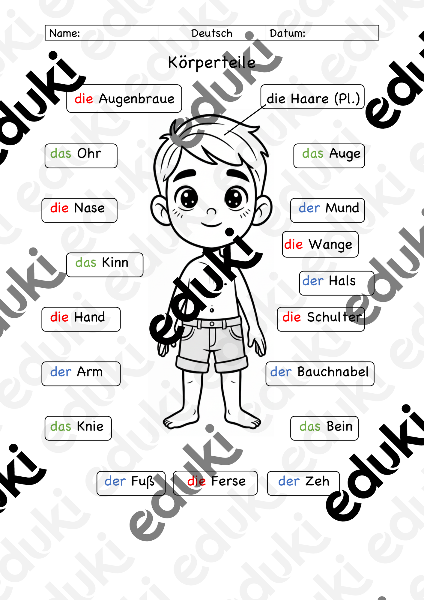 Körperteile leicht – Unterrichtsmaterial in den Fächern Deutsch & DaZ/DaF