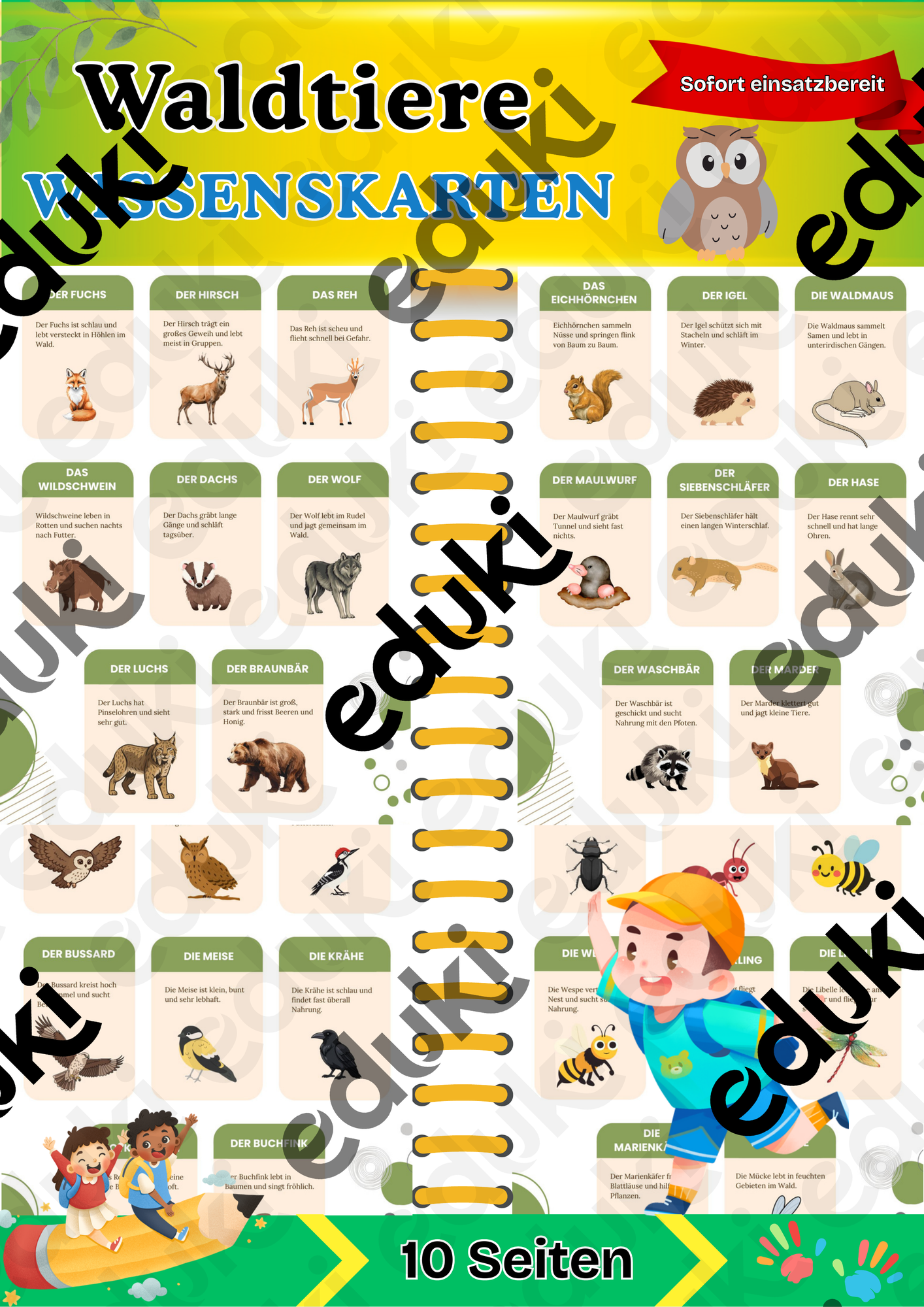 Waldtiere Grundschule: Wissenskarten Sachunterricht