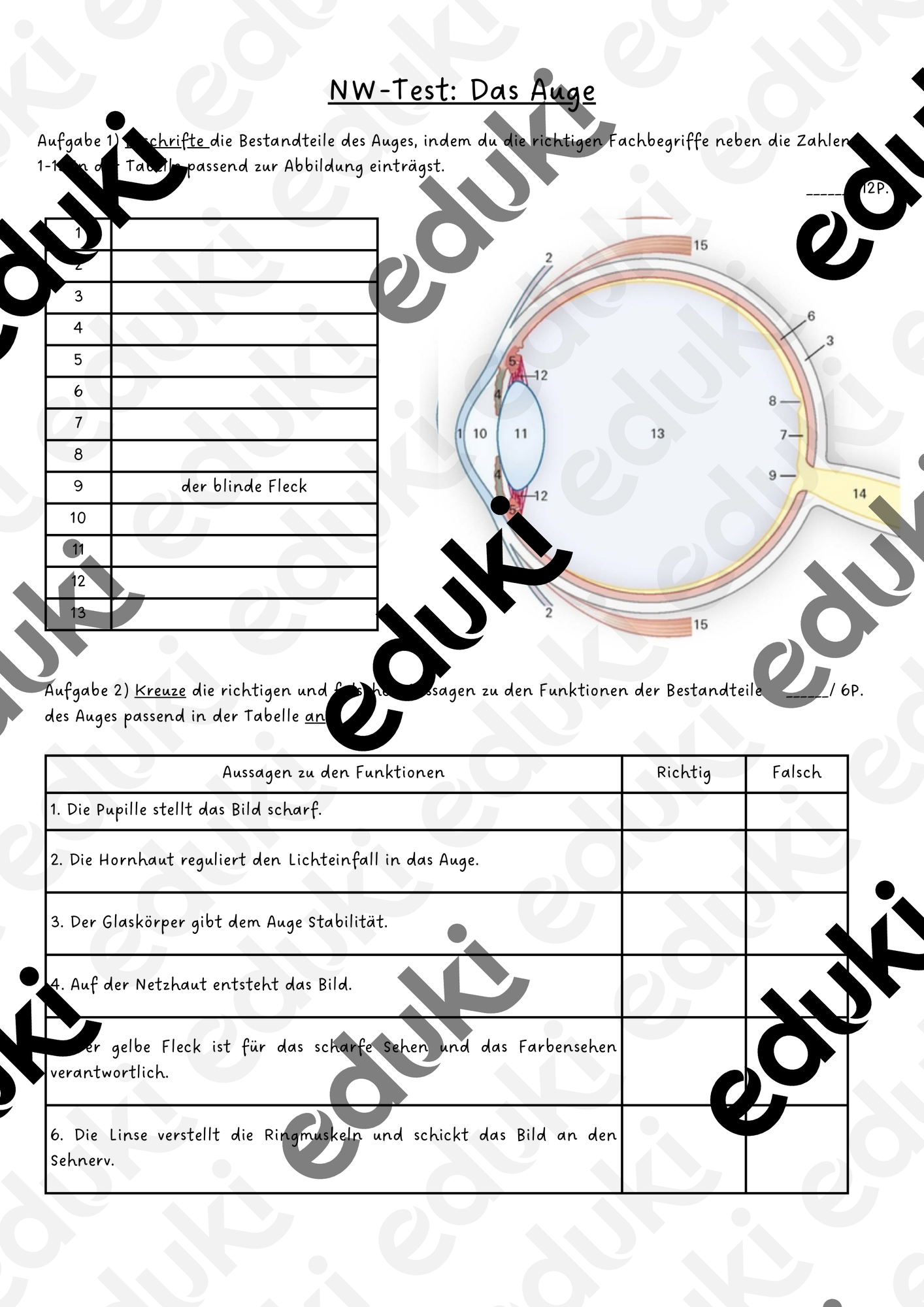 Test Sinnesorgan Auge Unterrichtsmaterial In Den F chern Biologie test-sinnesorgan-auge-unterrichtsmaterial-in-den-f-chern-biologie