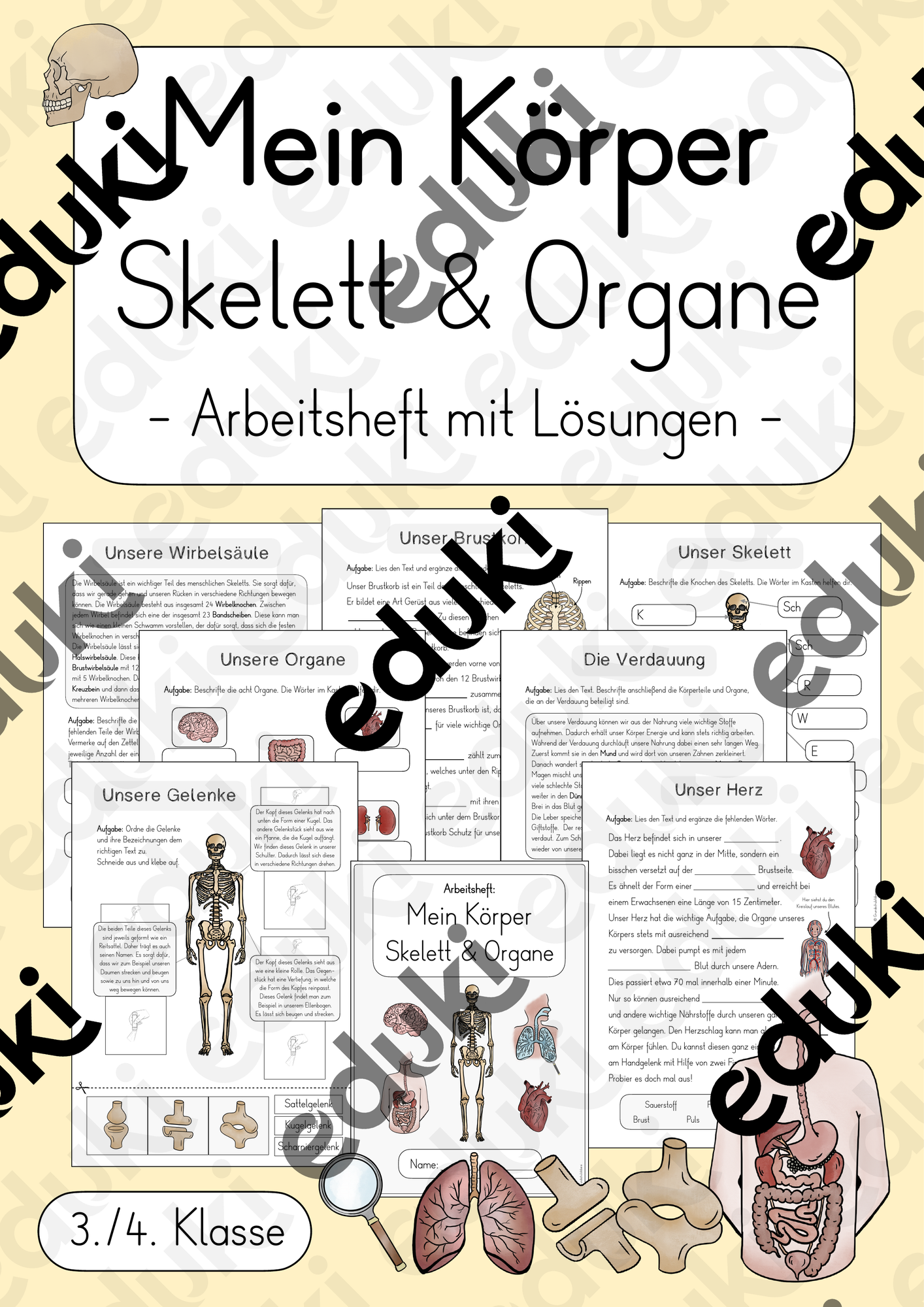 Mein Körper - Skelett & Organe - Arbeitsheft / Unterrichtsreihe ...