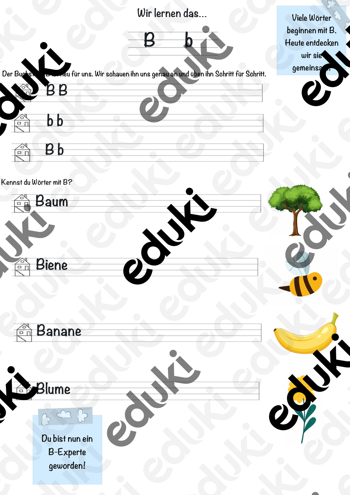Einführung in den Buchstaben B - Arbeitsblatt für die 1. Klasse